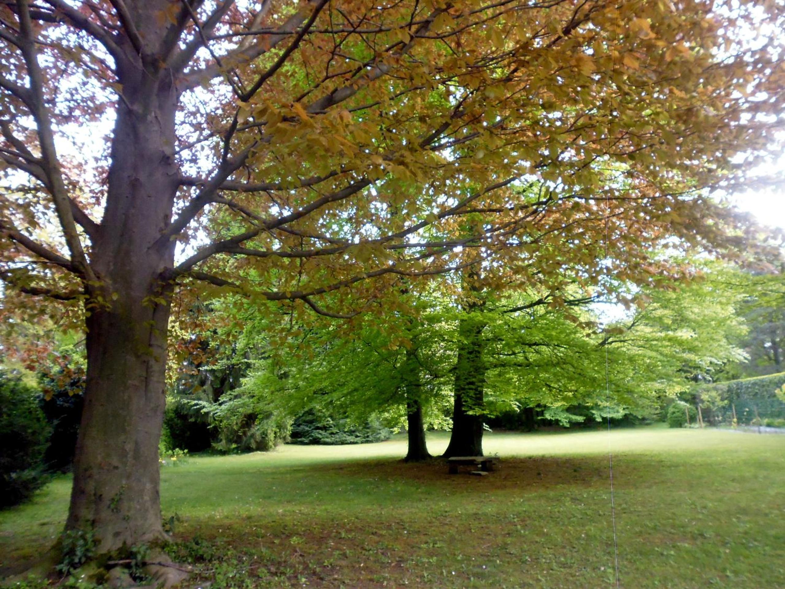 Photo 45