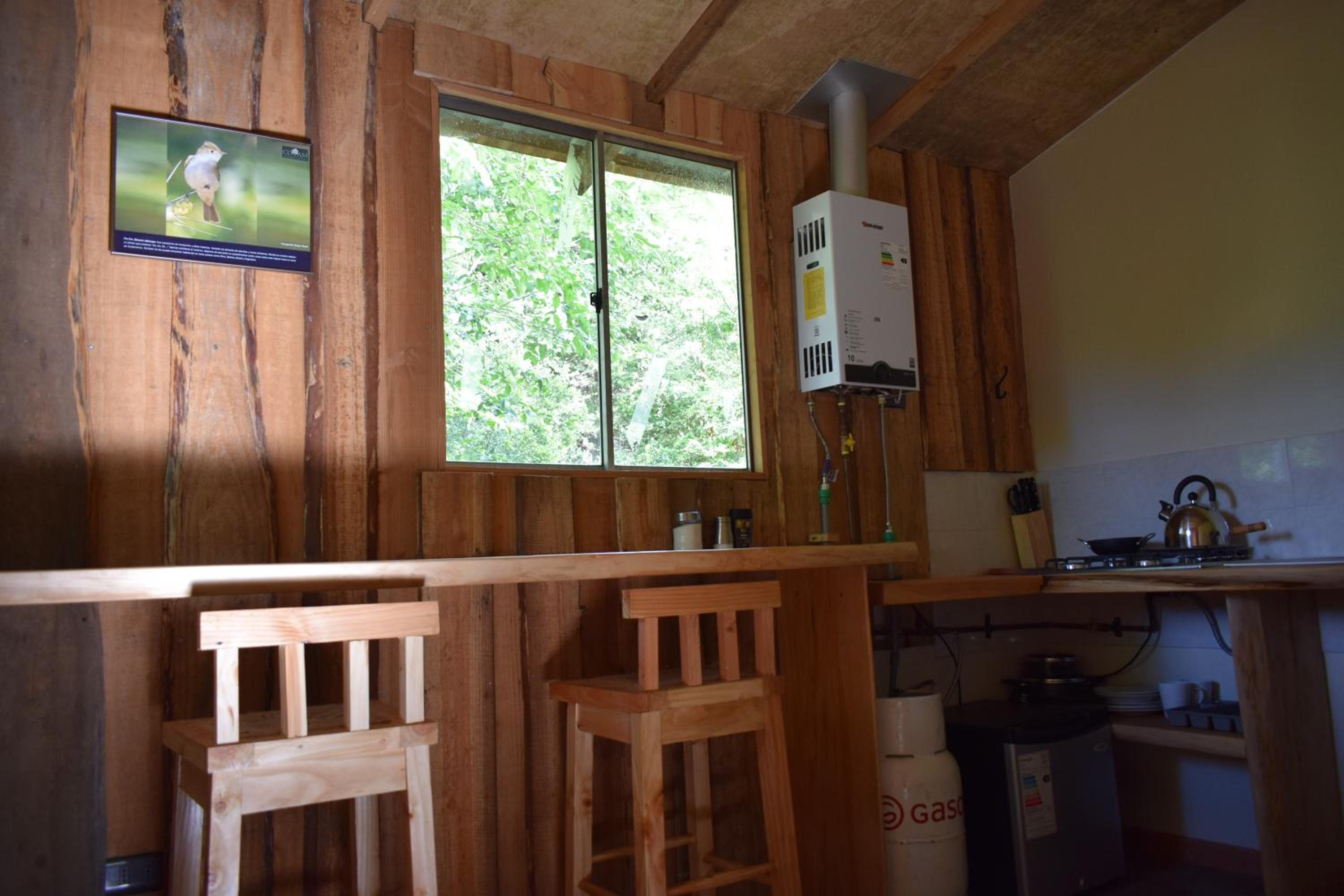 Proyecto COYAM, cabañas lofts, tinas privadas, sendero por el bosque