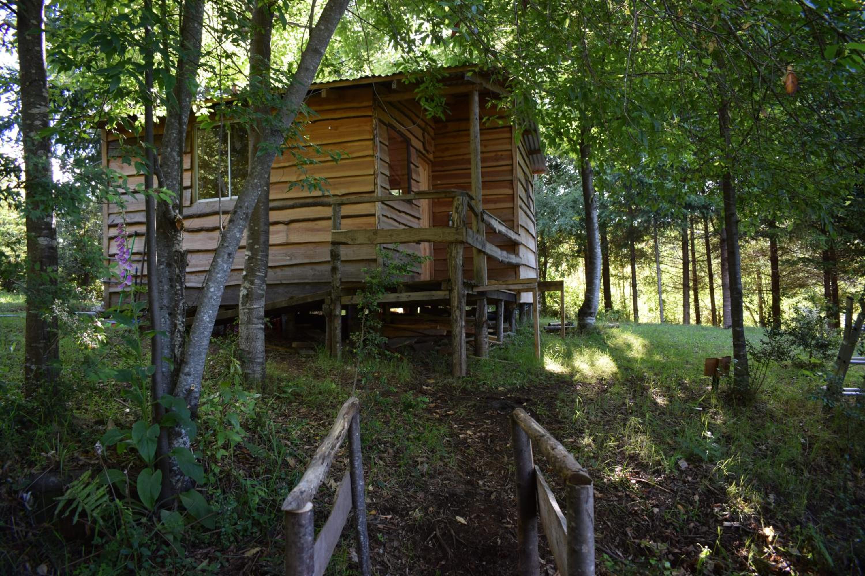 Proyecto COYAM, cabañas lofts, tinas privadas, sendero por el bosque