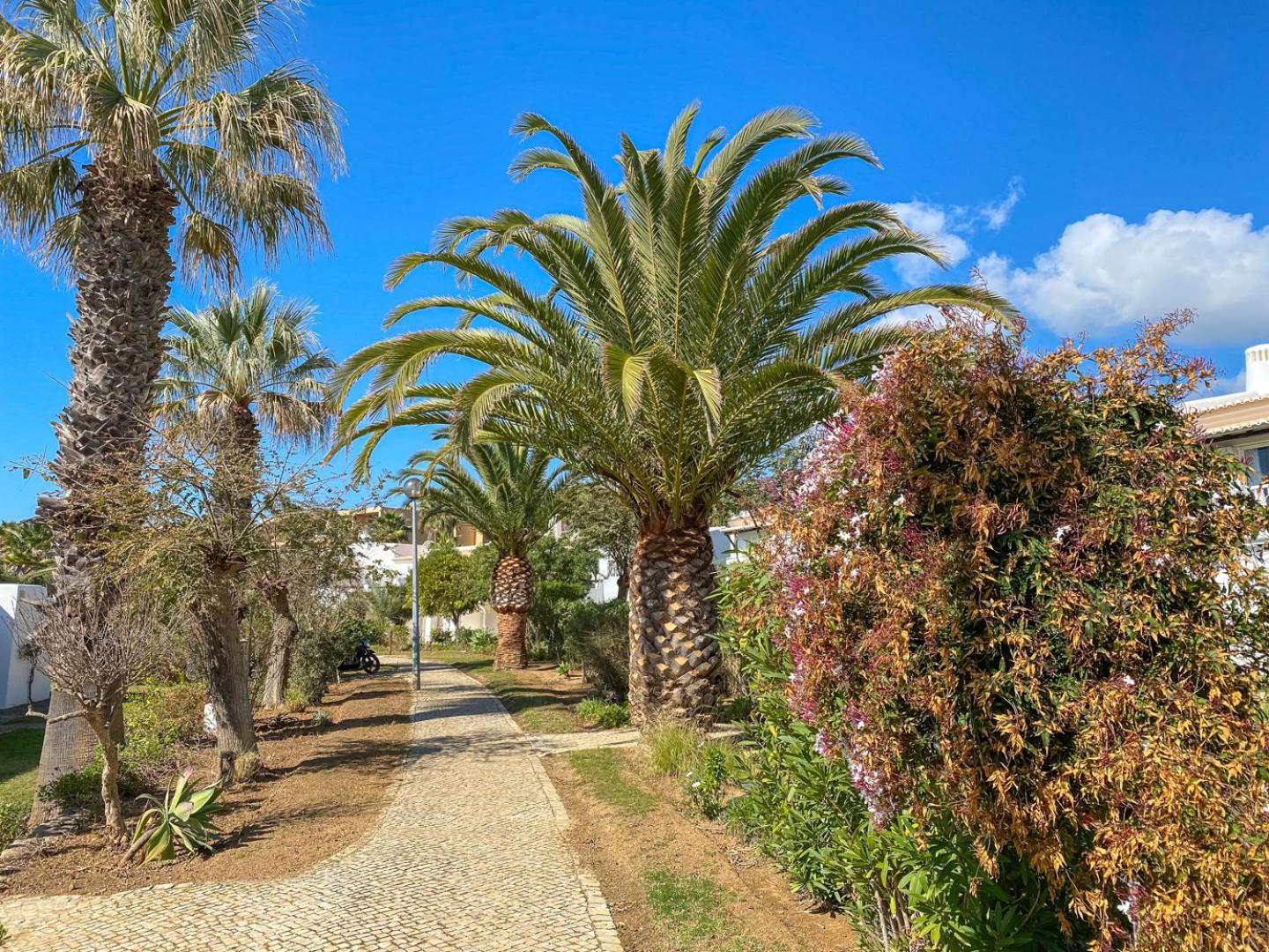 Lovely Apartment in Albufeira 2BD 250m Beach Ocean view and AC Wi-Fi Pool view 5