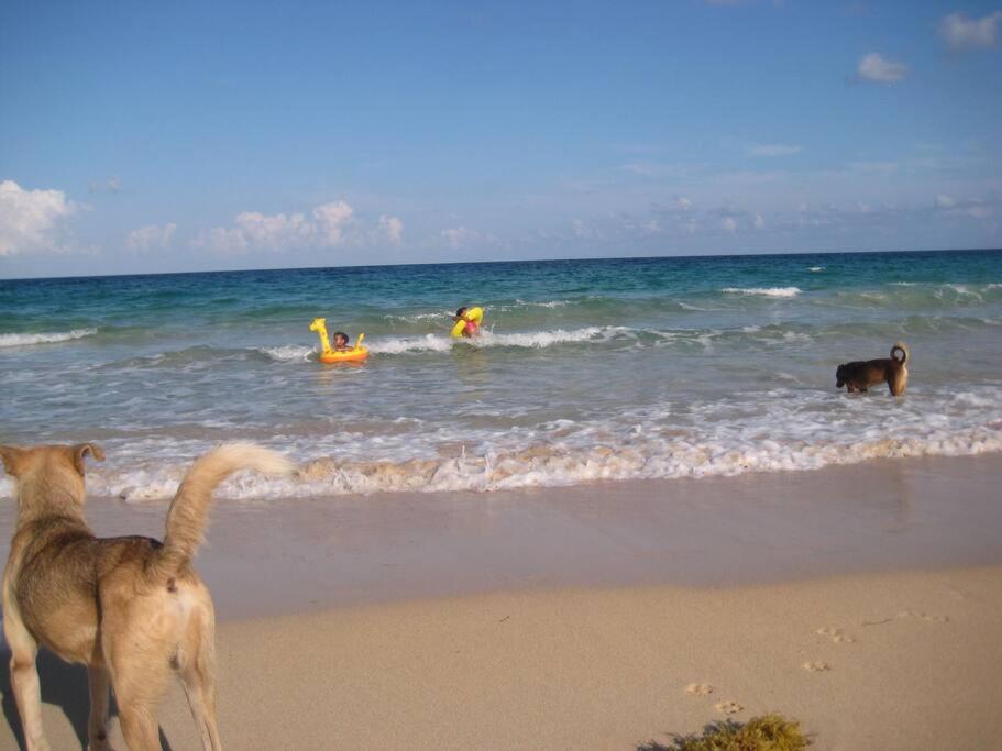 Photo 24