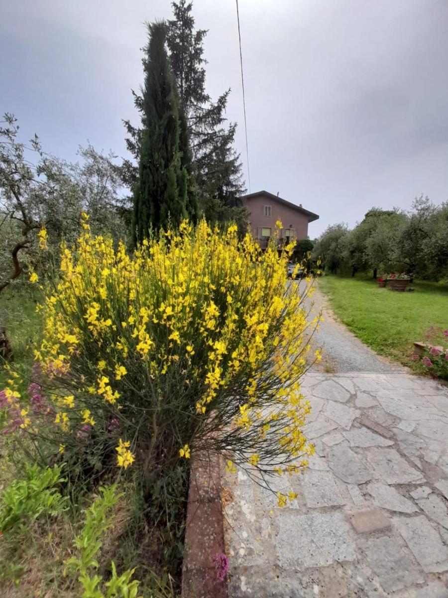 Agriturismo Campo Contile view 4