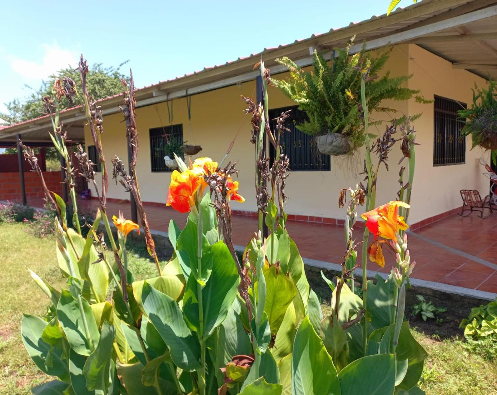 Hospedaje Casa de Campo La Herrería, Desierto de La Tatacoa