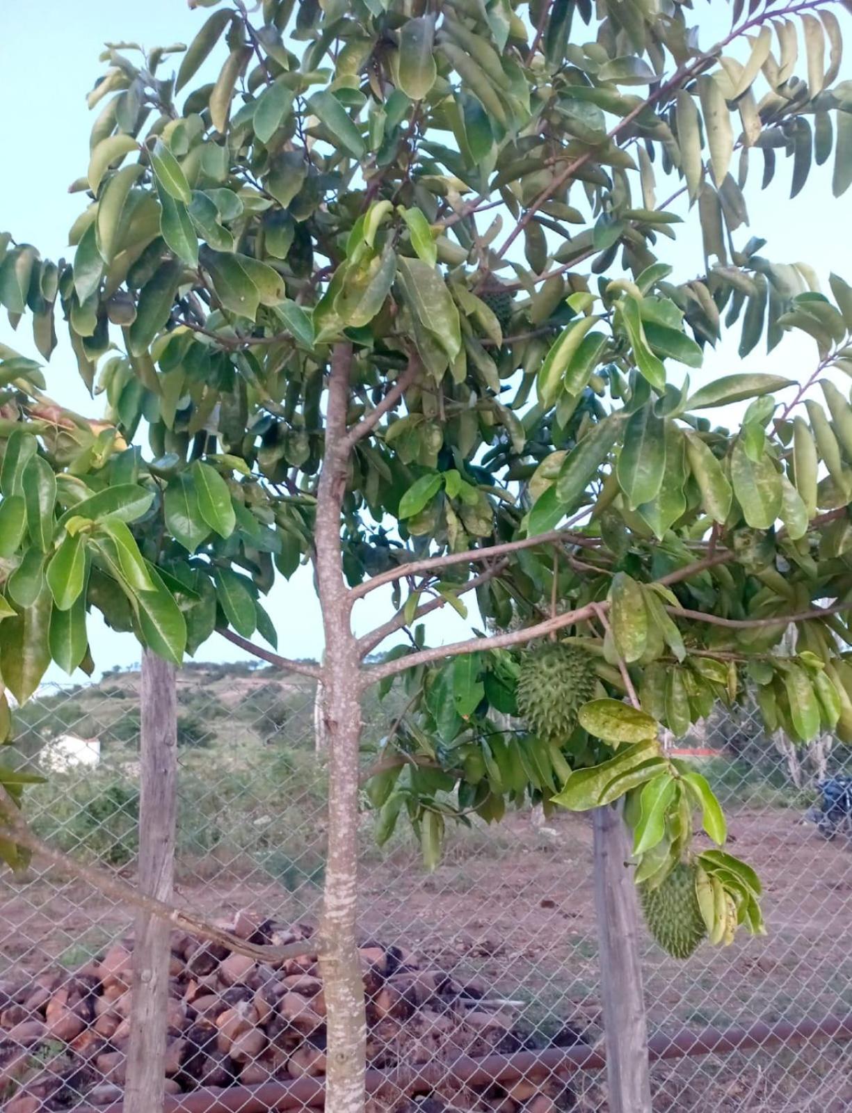 Hospedaje Casa de Campo La Herrería, Desierto de La Tatacoa