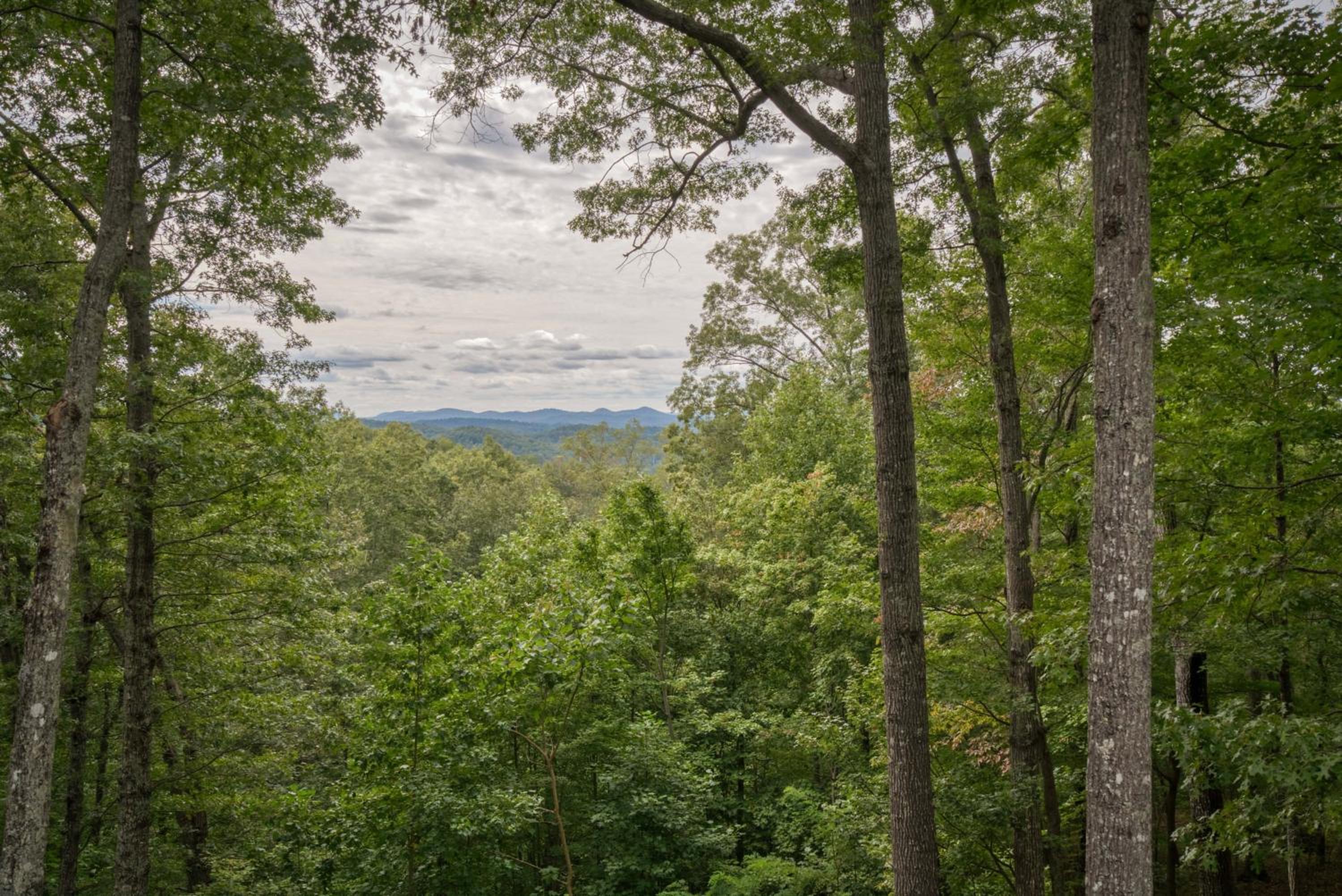 Cozy Cabin Home With Fire Pit And Mountain Views! view 2
