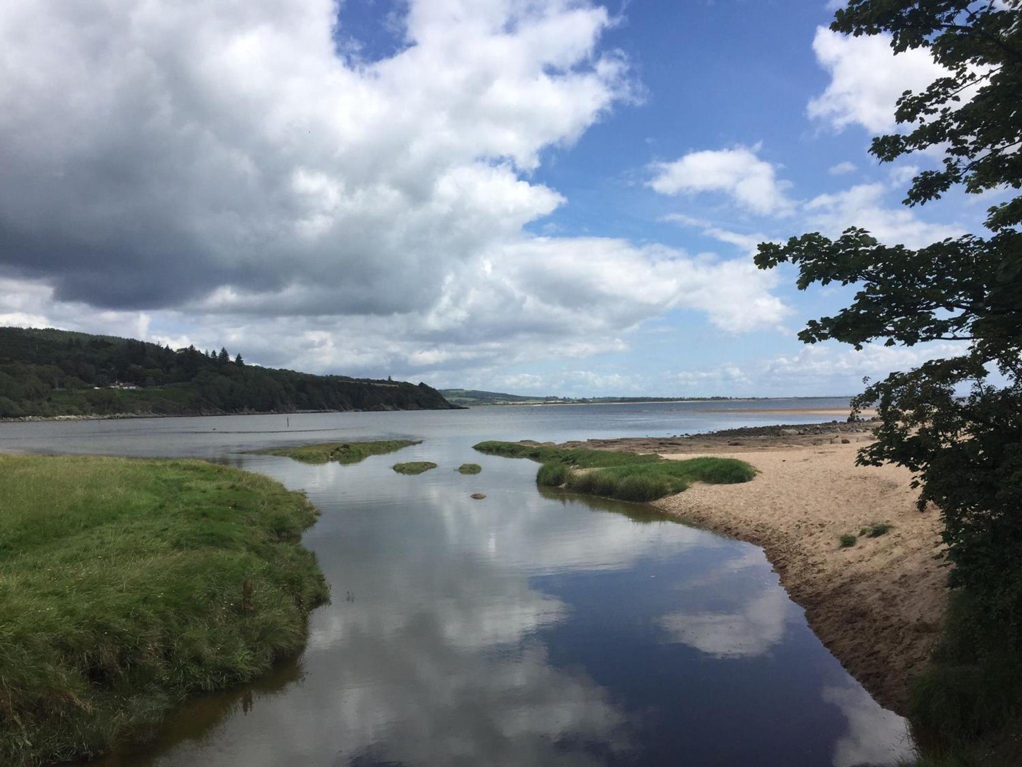 Birchlea