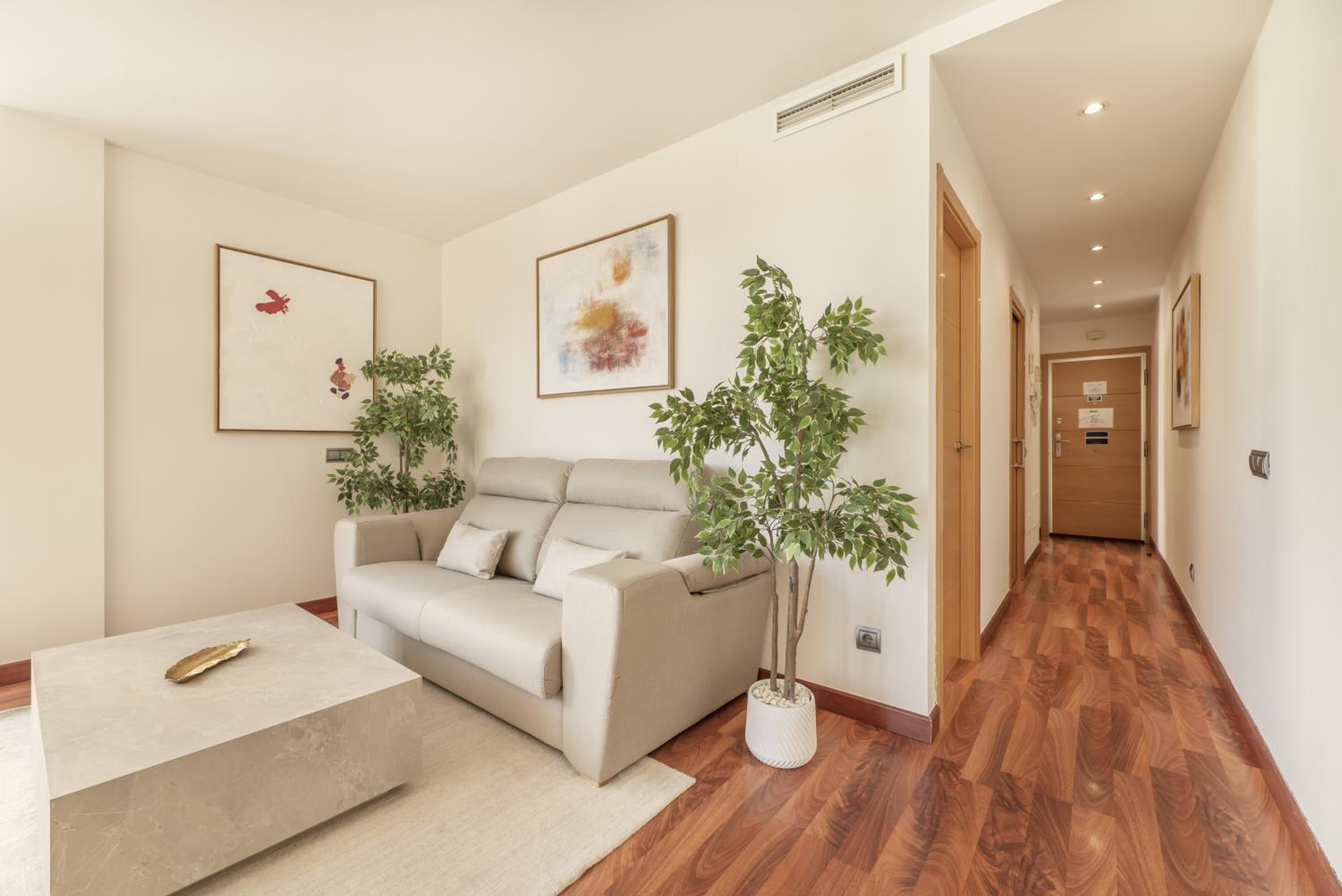 Luxury apartments in Barrio Palacio