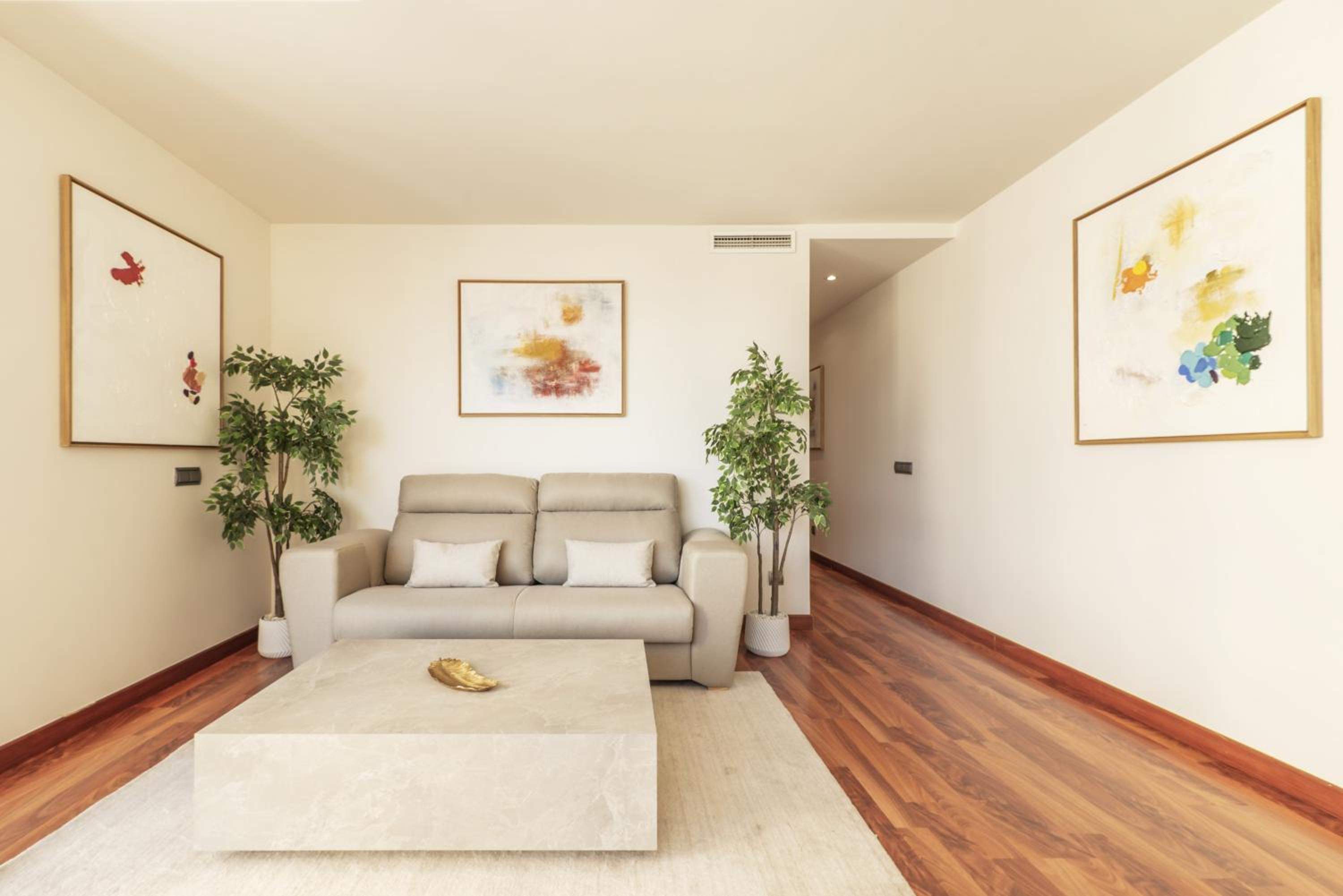 Luxury apartments in Barrio Palacio