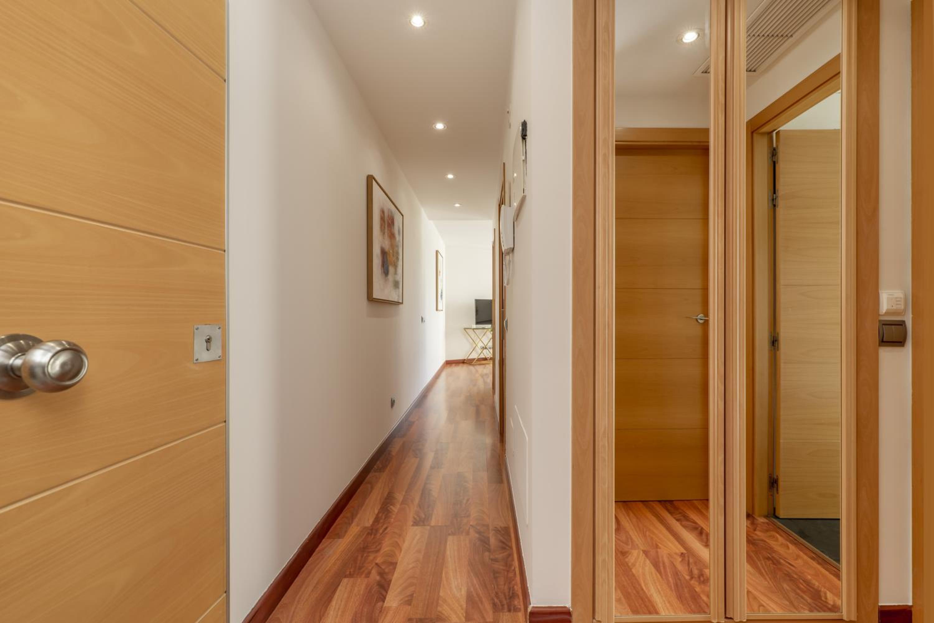 Luxury apartments in Barrio Palacio