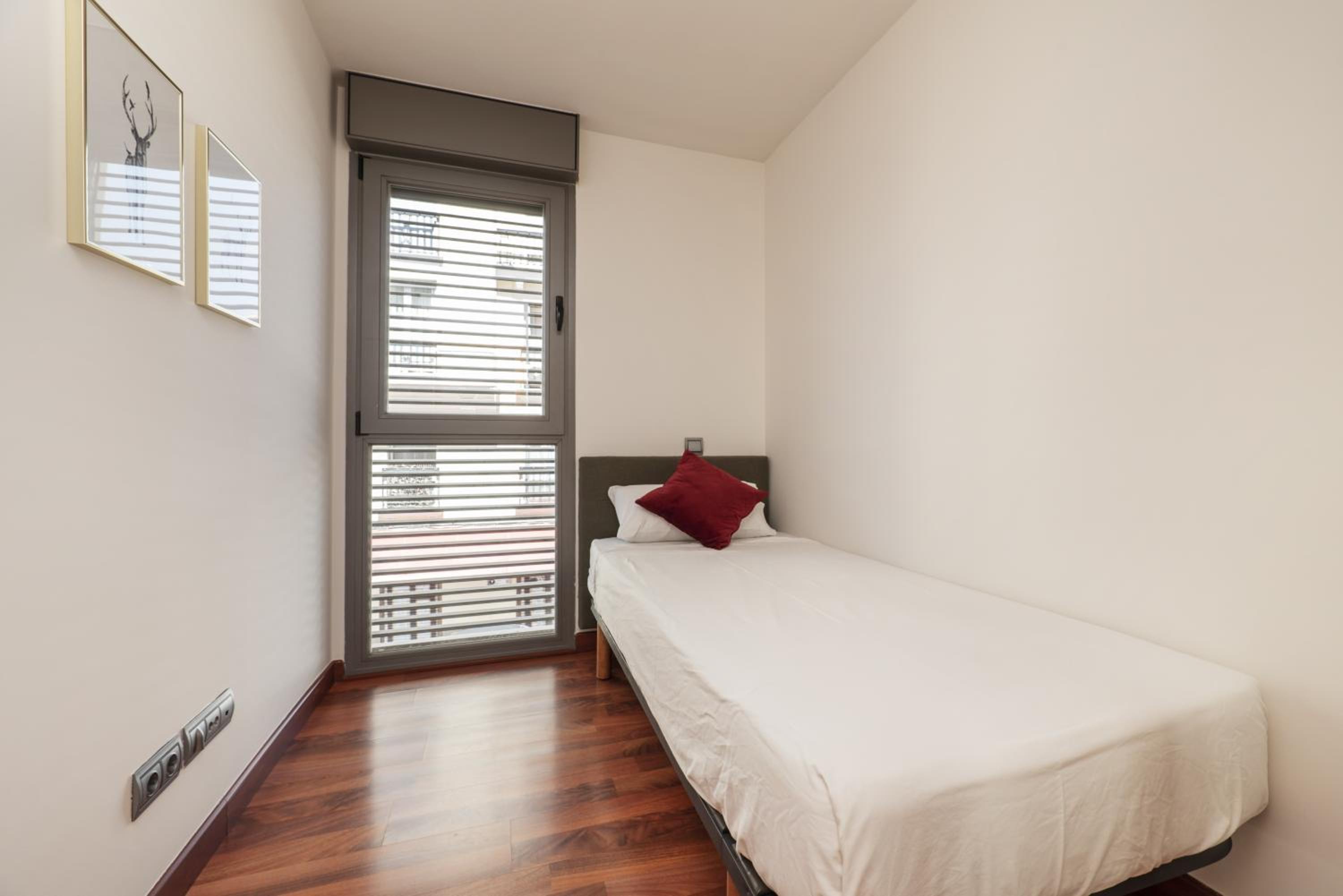 Luxury apartments in Barrio Palacio