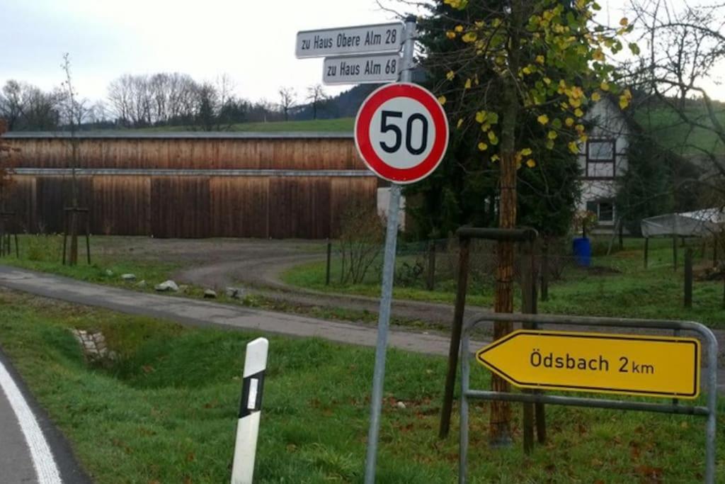 Wohnung am Fuße des Schwarzwalds