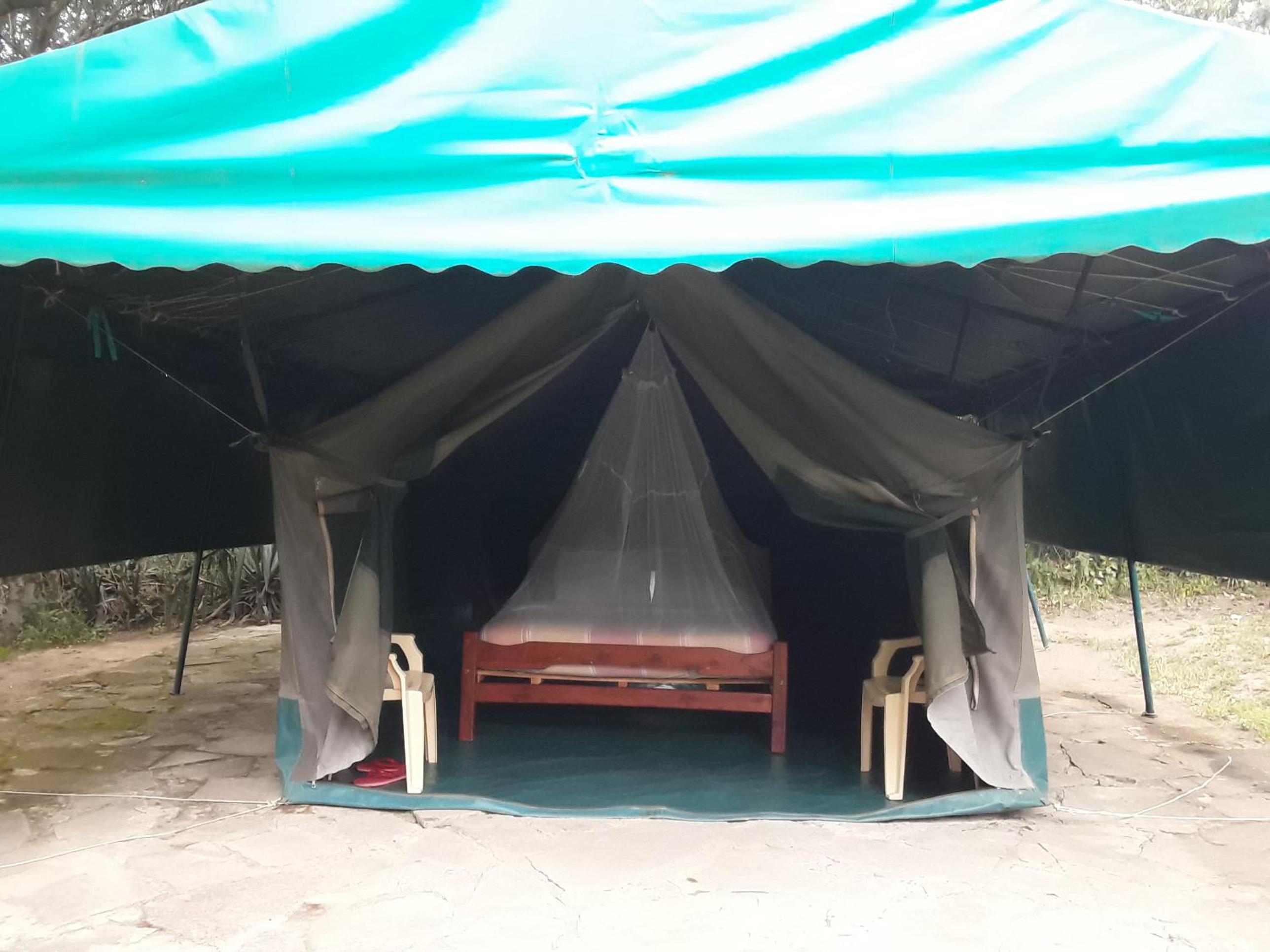 Cactus Eco Camp and Lodge