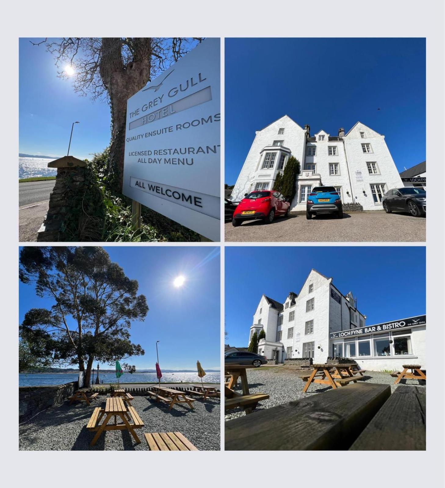 Hotel The Grey Gull Hotel