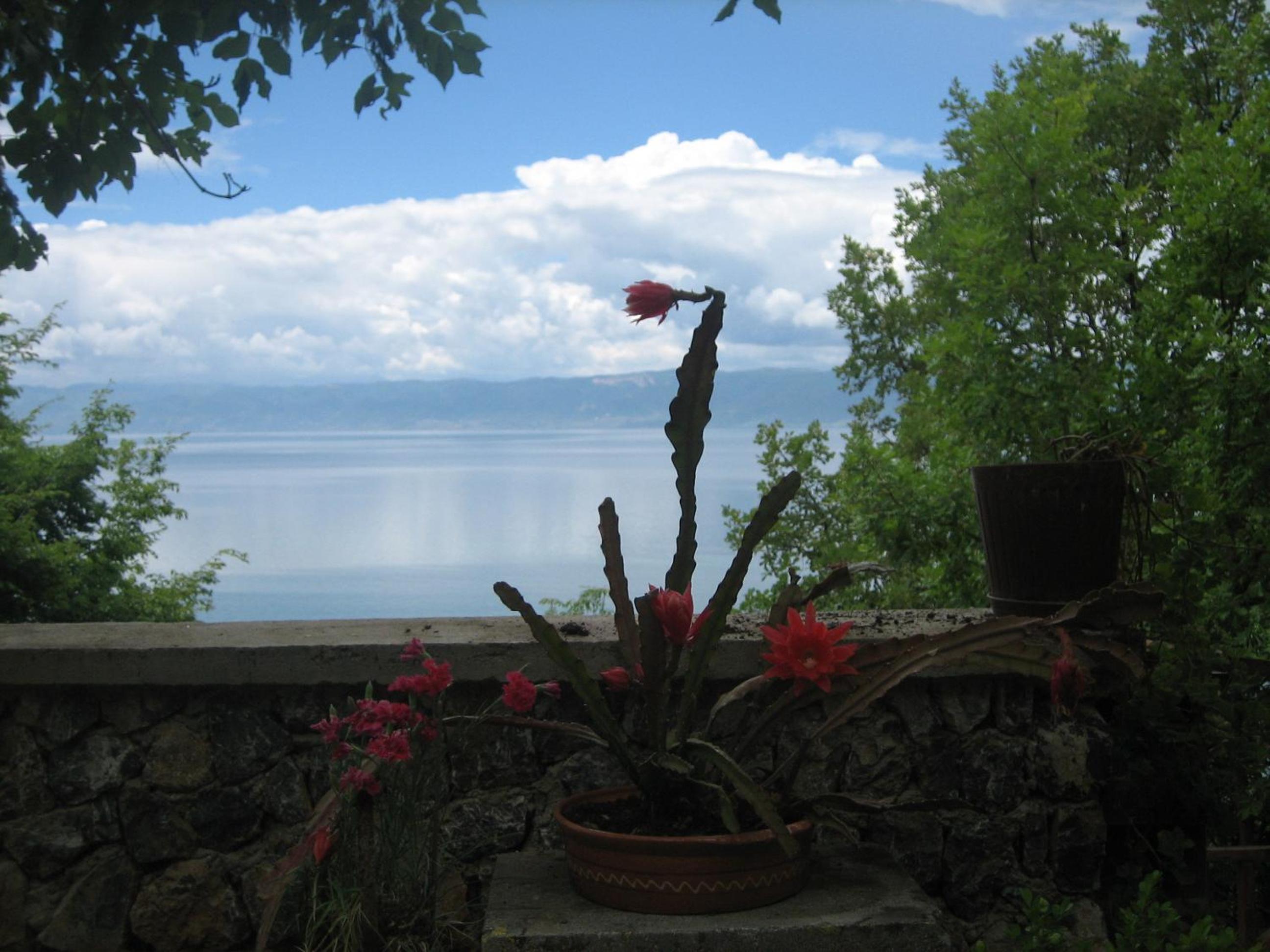 Photo 40
