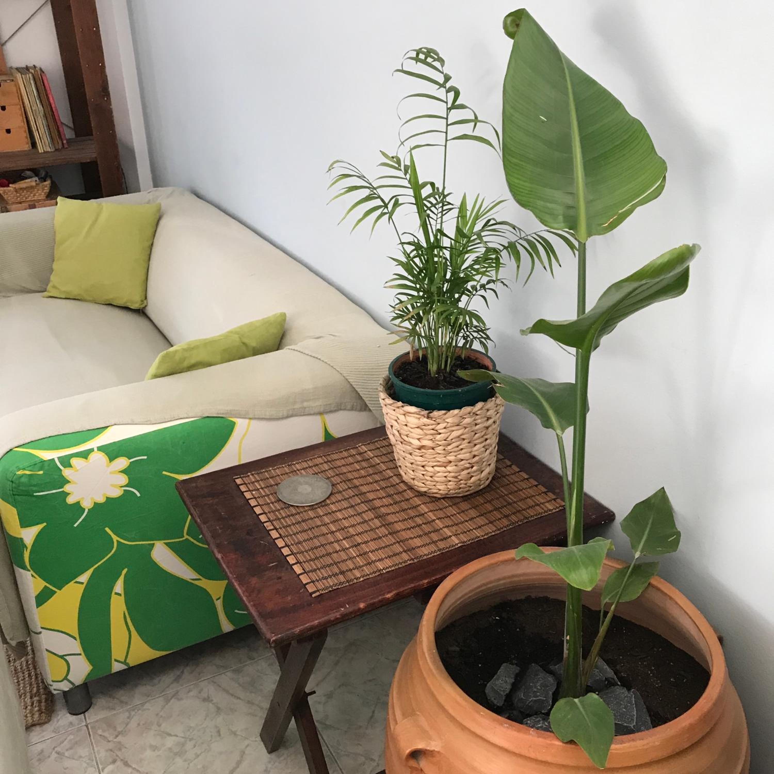 Hidden Gem Apartment