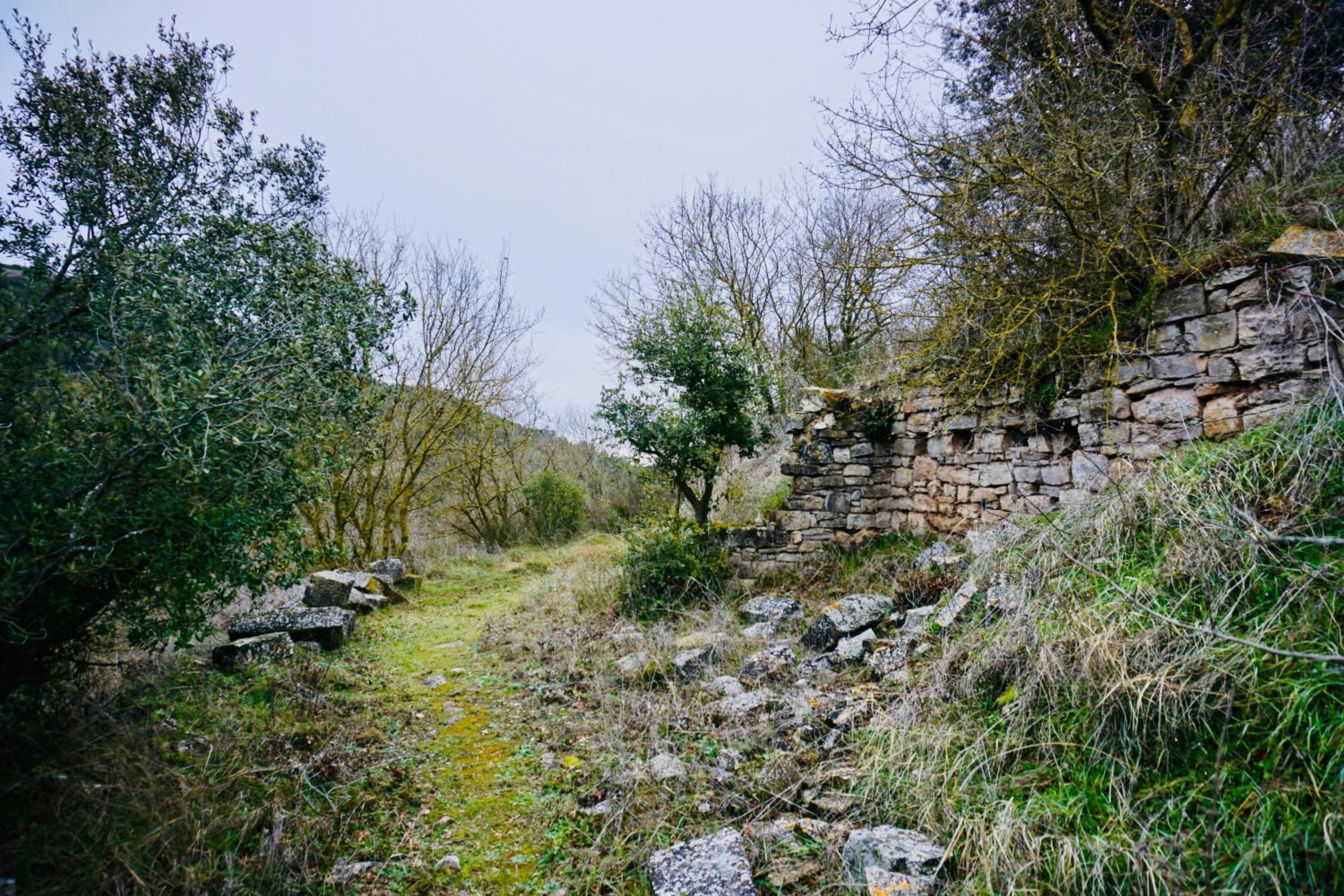 La Guinda de Cal Talaia view 4