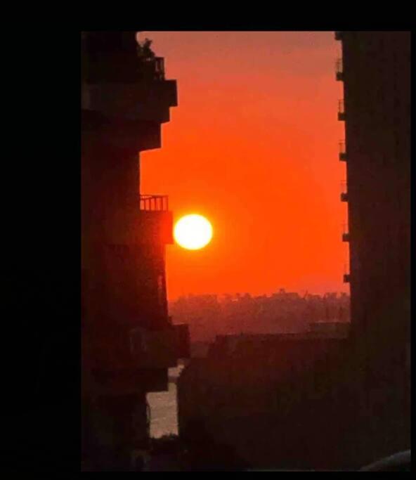 Roof of Comfort & Calm in Maadi