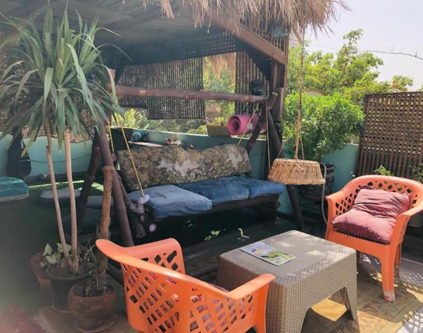 Roof of Comfort & Calm in Maadi