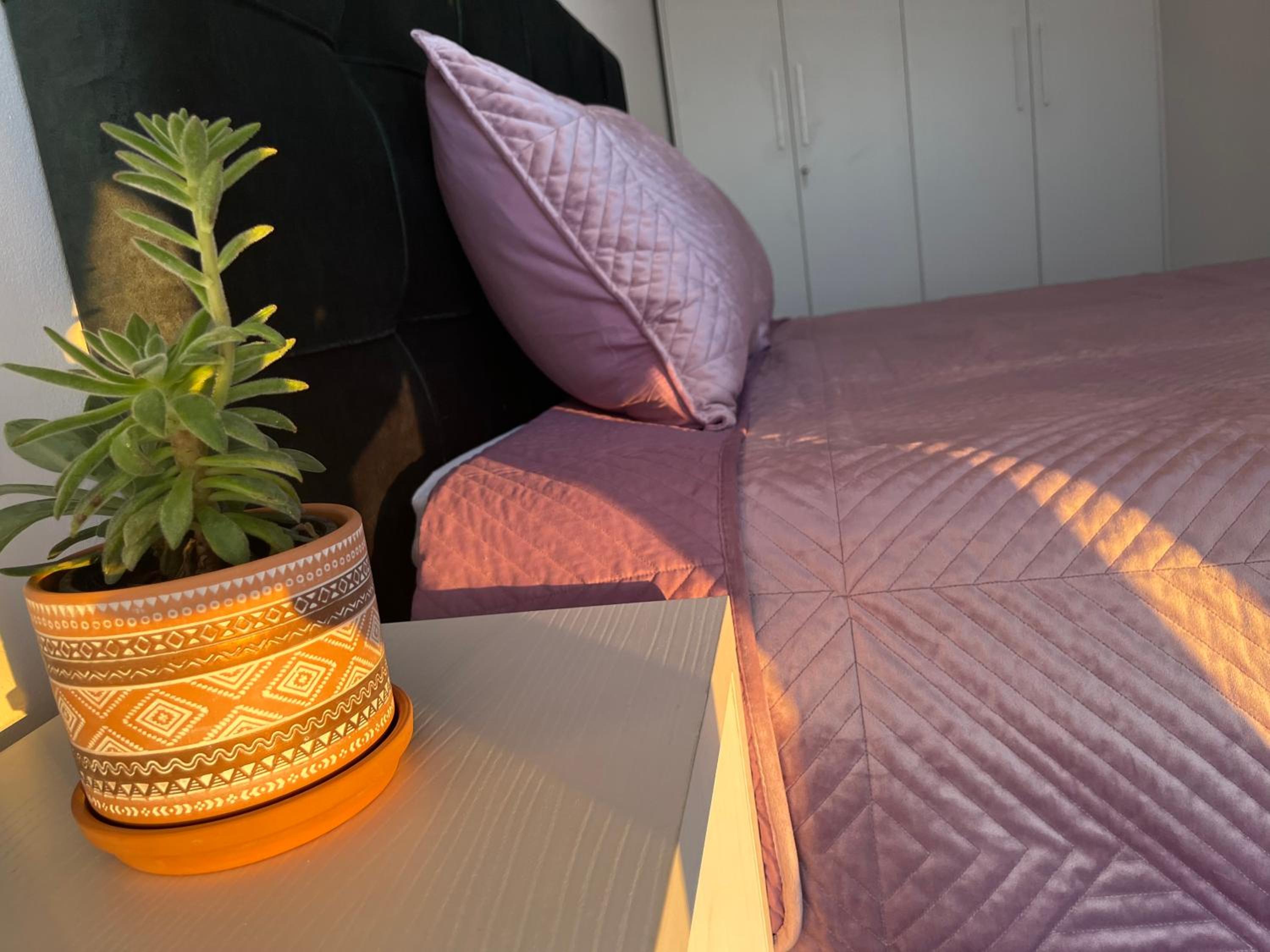 Comfy Nest Apartment- free parking