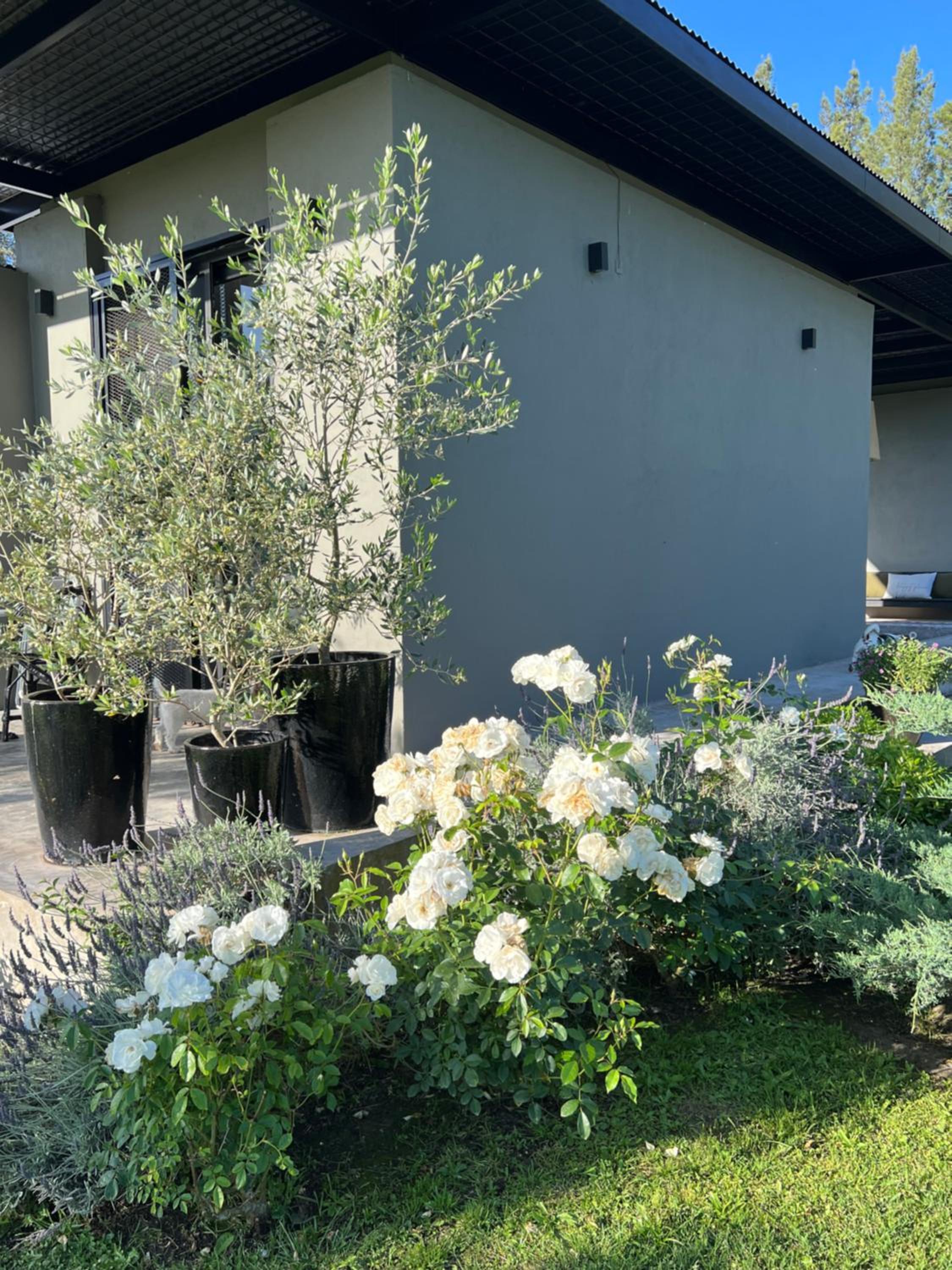 Casa Kaufman