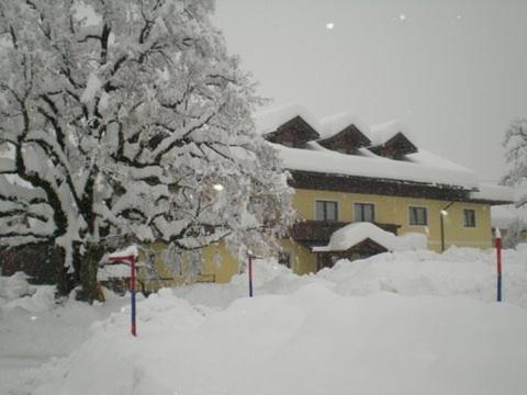 Photo 33
