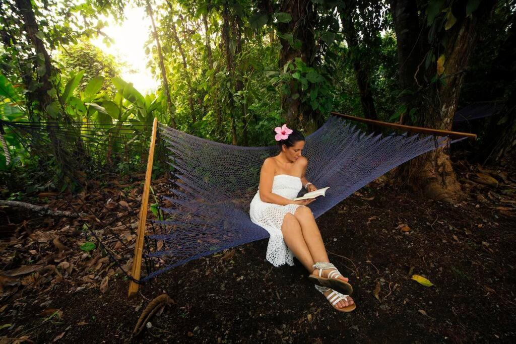 Arenal Ginger Home