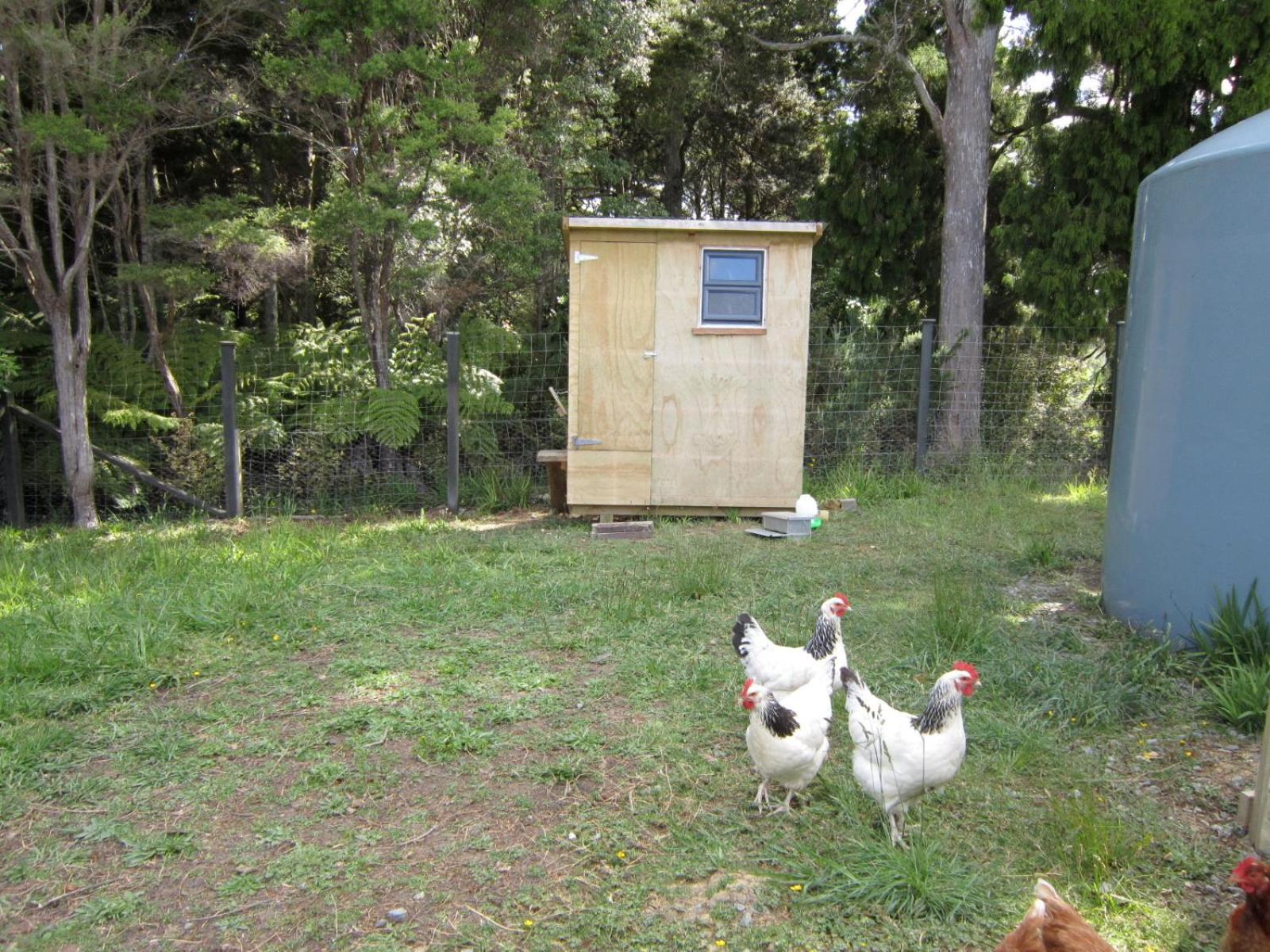 The Hen House