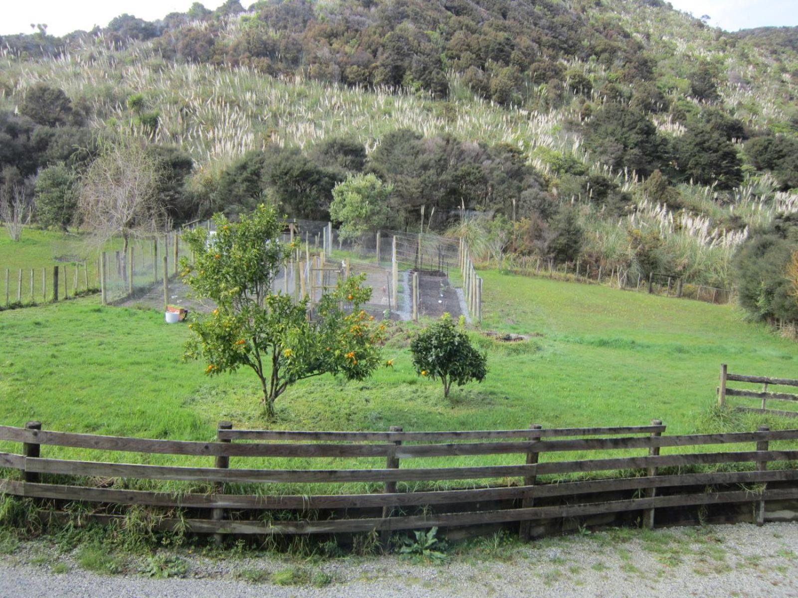 The Hen House