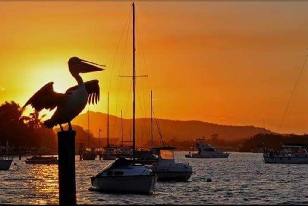 Studio Apartment Noosa Riverfront