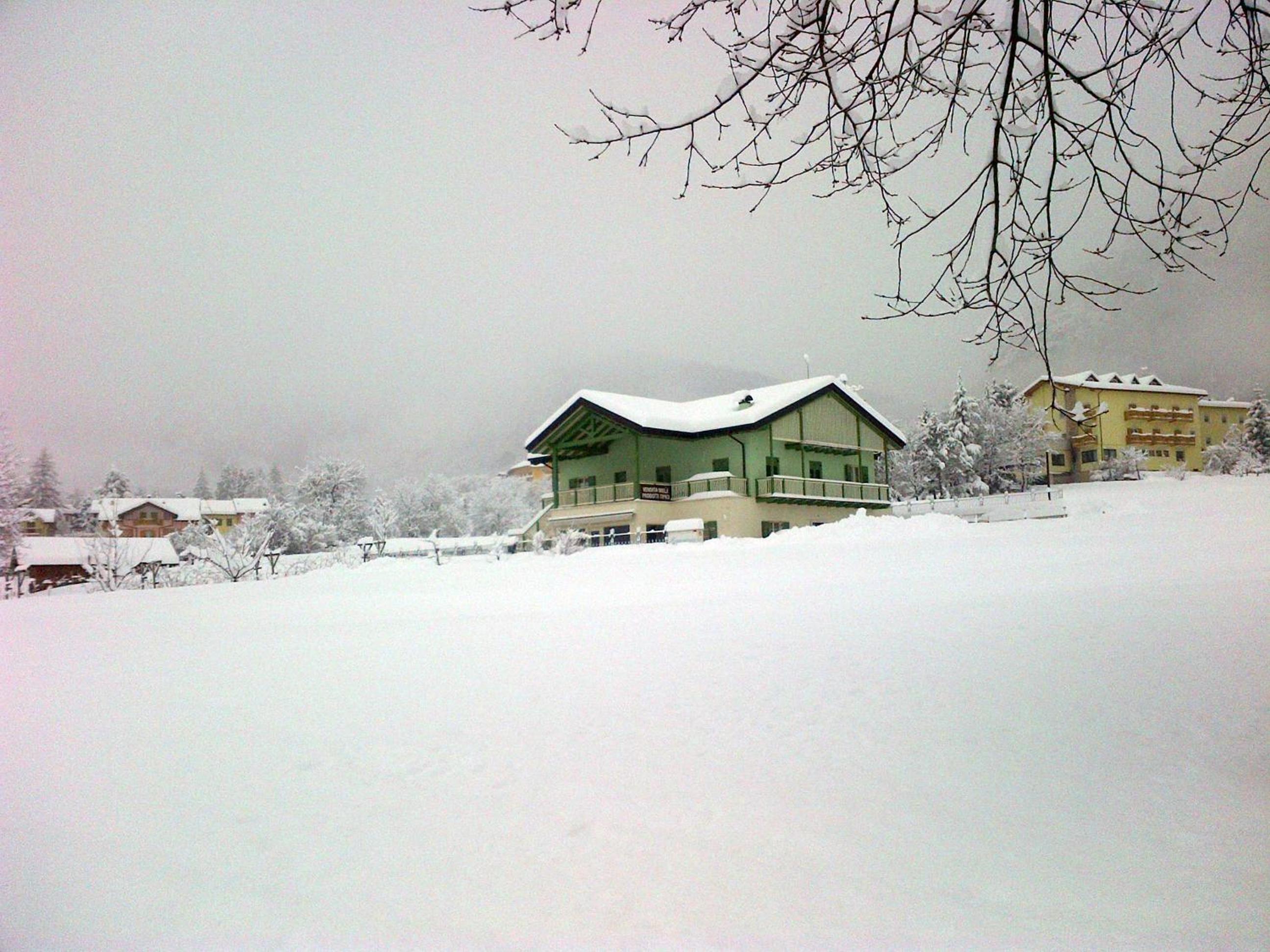 Photo 16