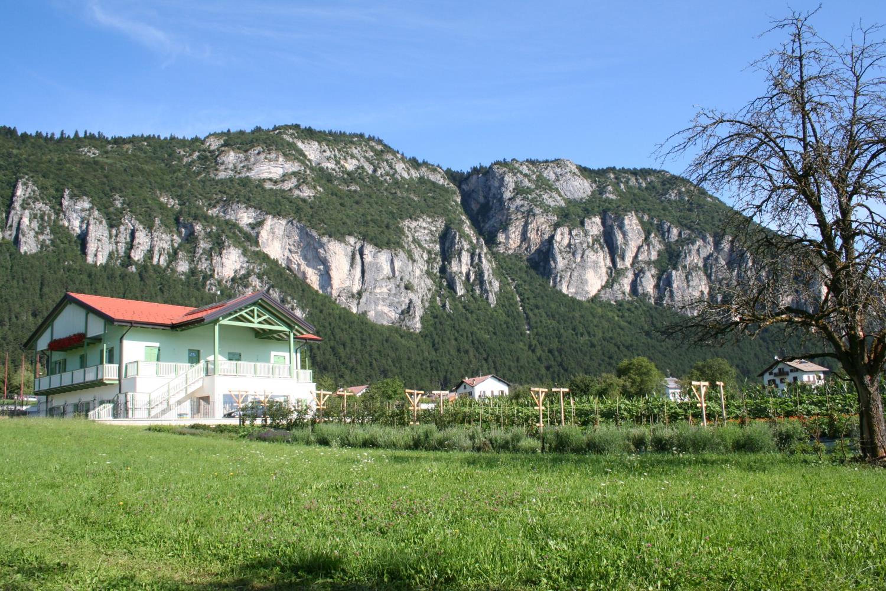 Photo 30