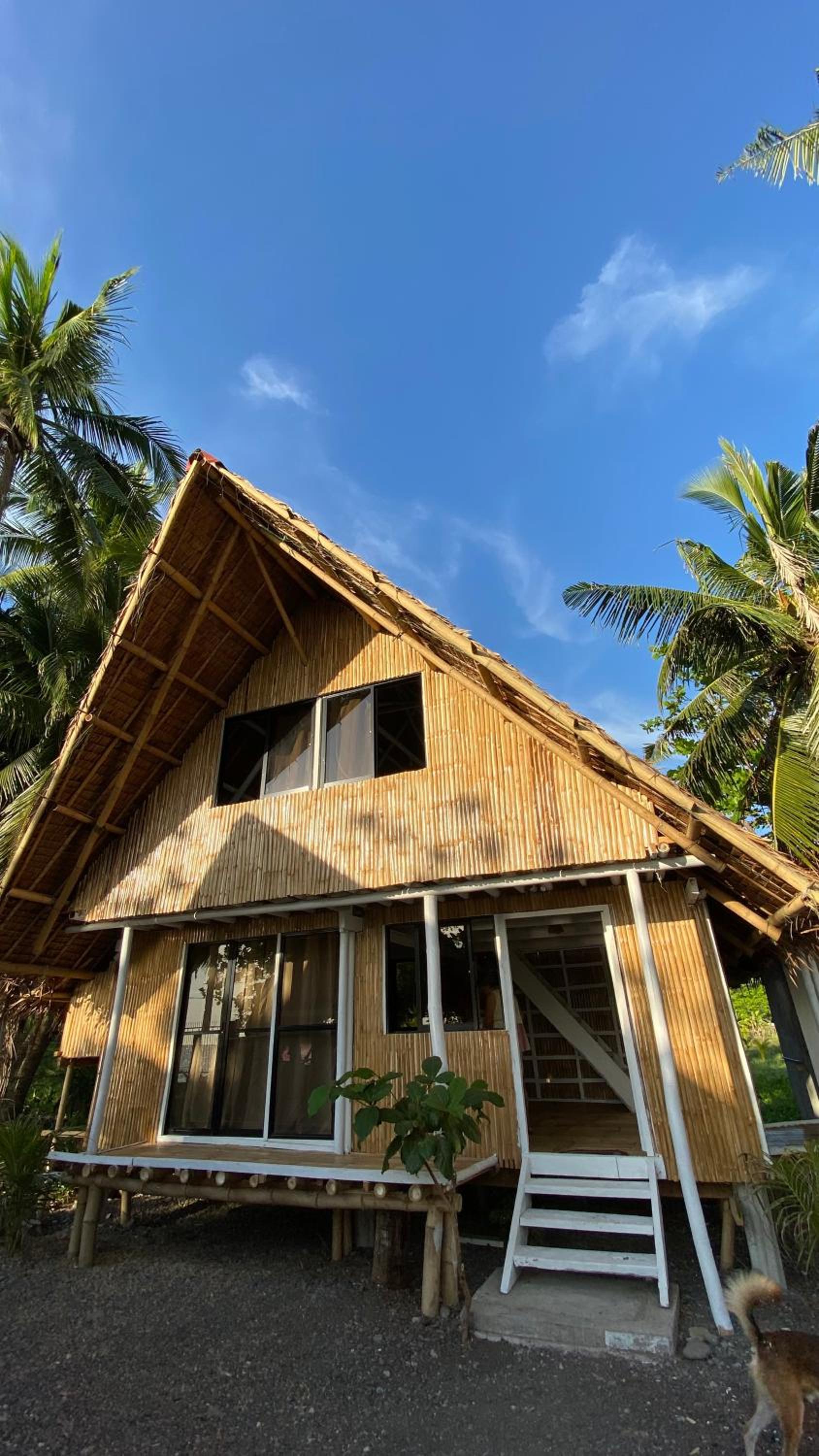 Villa Eliza Ecofarm view 4