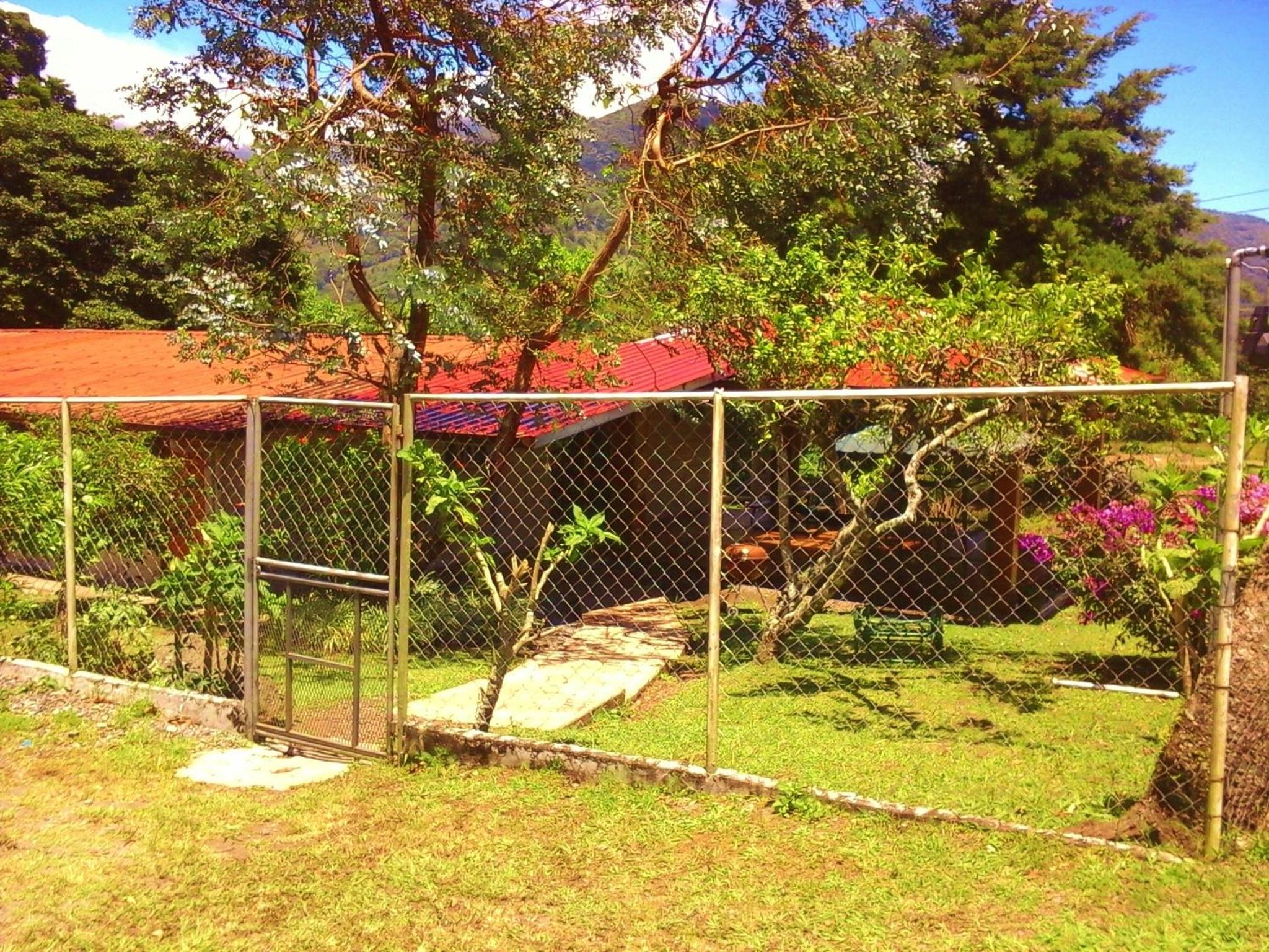 Photo 10