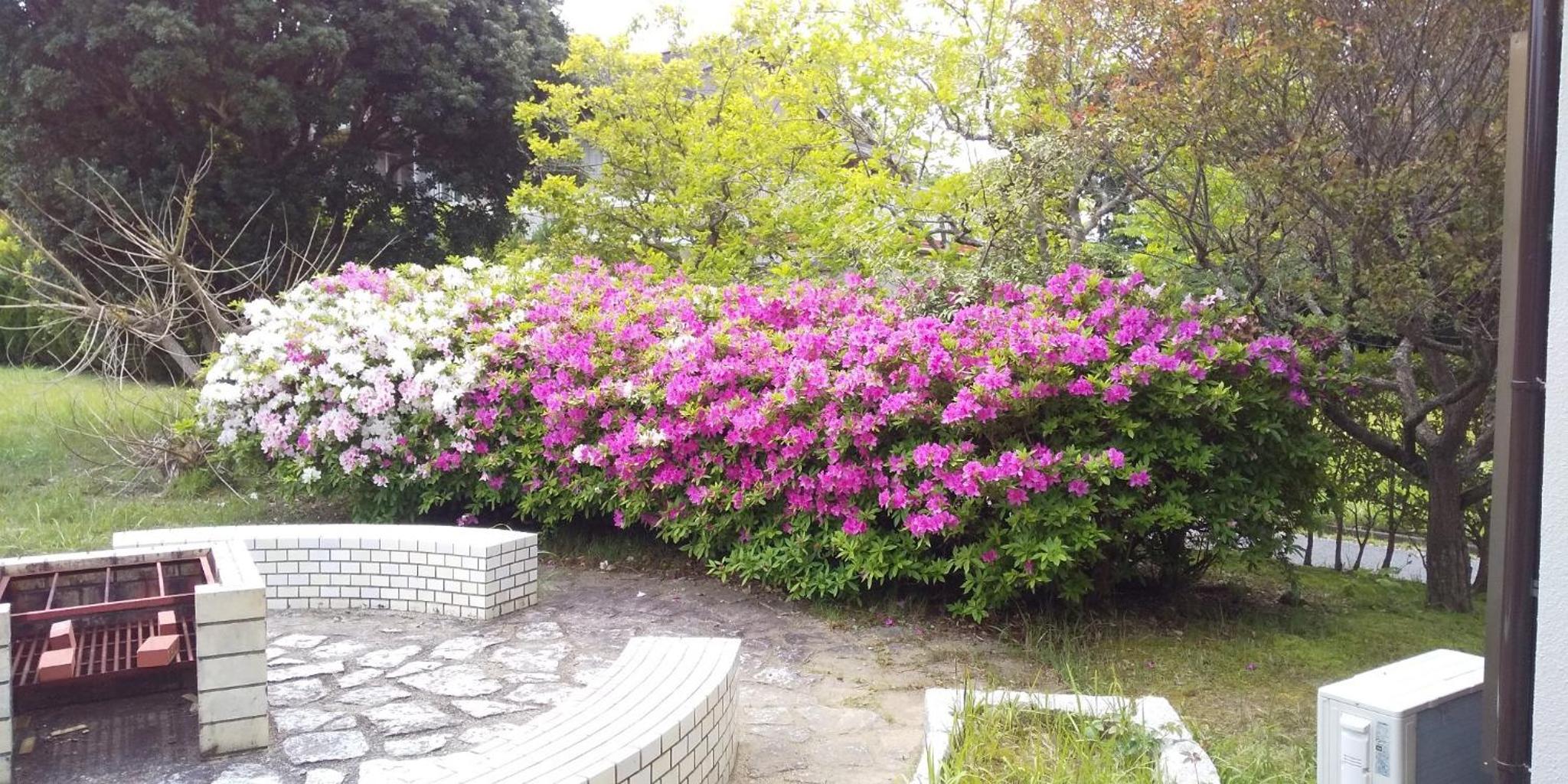 Photo 42