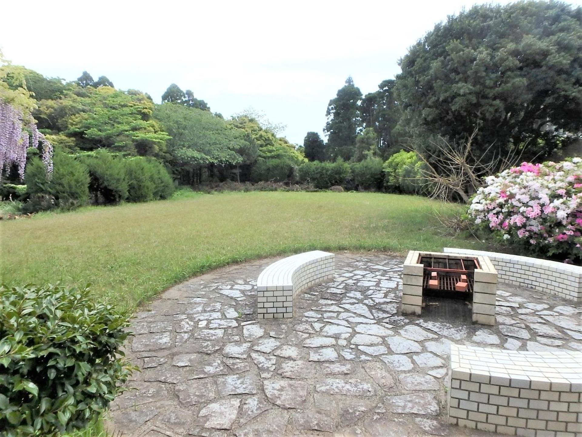 Photo 44