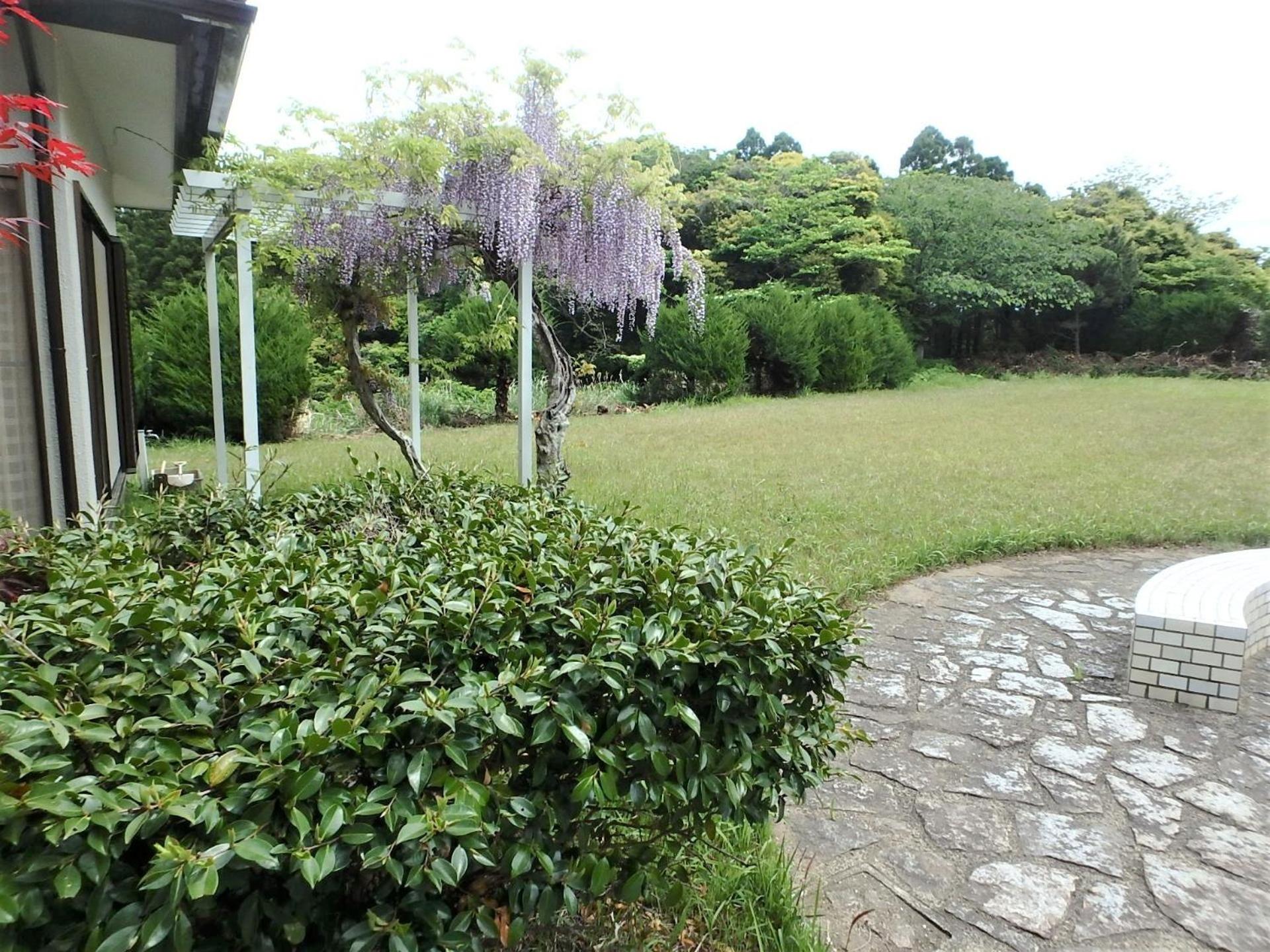 Photo 45