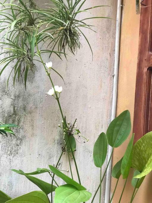 T30 Hanoi Homestay, near Lotte Tay Ho, 25minutes to the airport