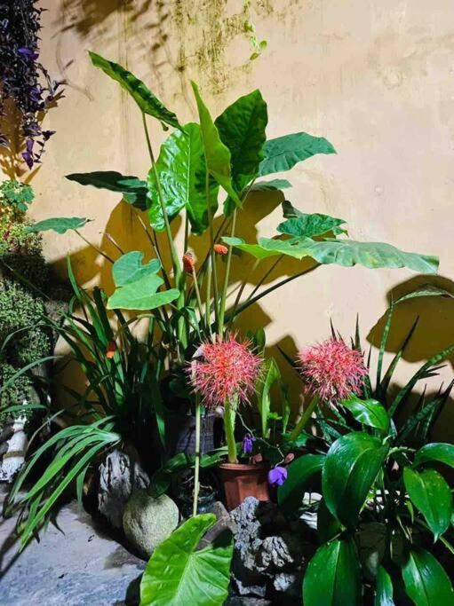 T30 Hanoi Homestay, near Lotte Tay Ho, 25minutes to the airport