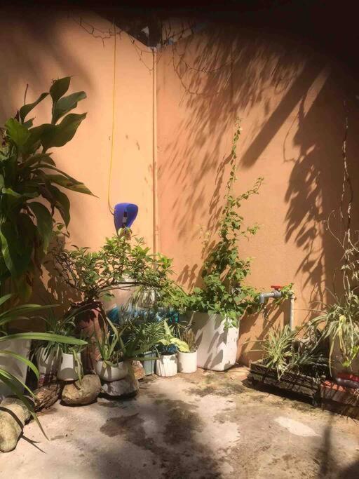 T30 Hanoi Homestay, near Lotte Tay Ho, 25minutes to the airport