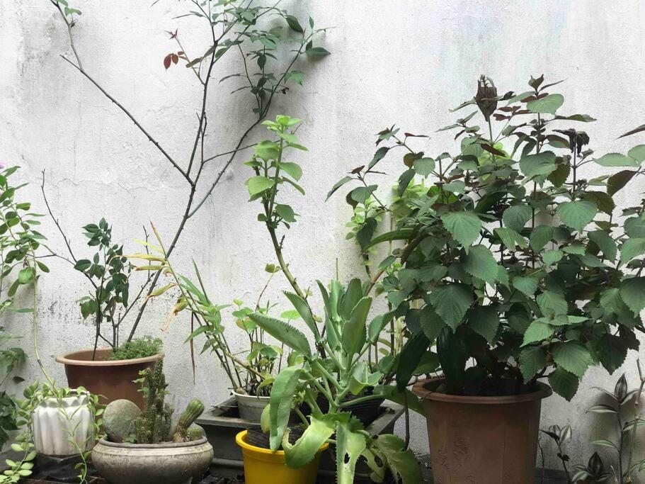 T30 Hanoi Homestay, near Lotte Tay Ho, 25minutes to the airport