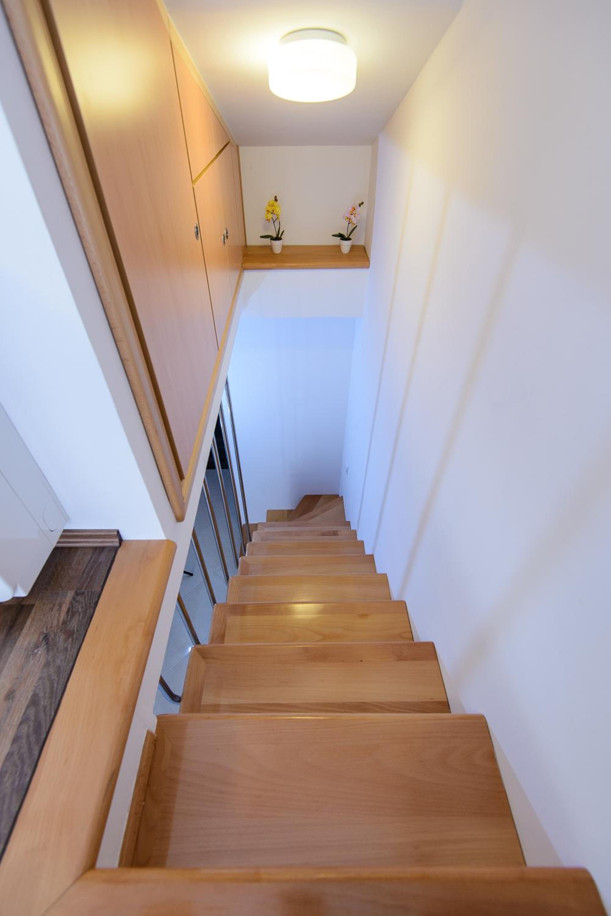 Apartment Violeta 2 with parking