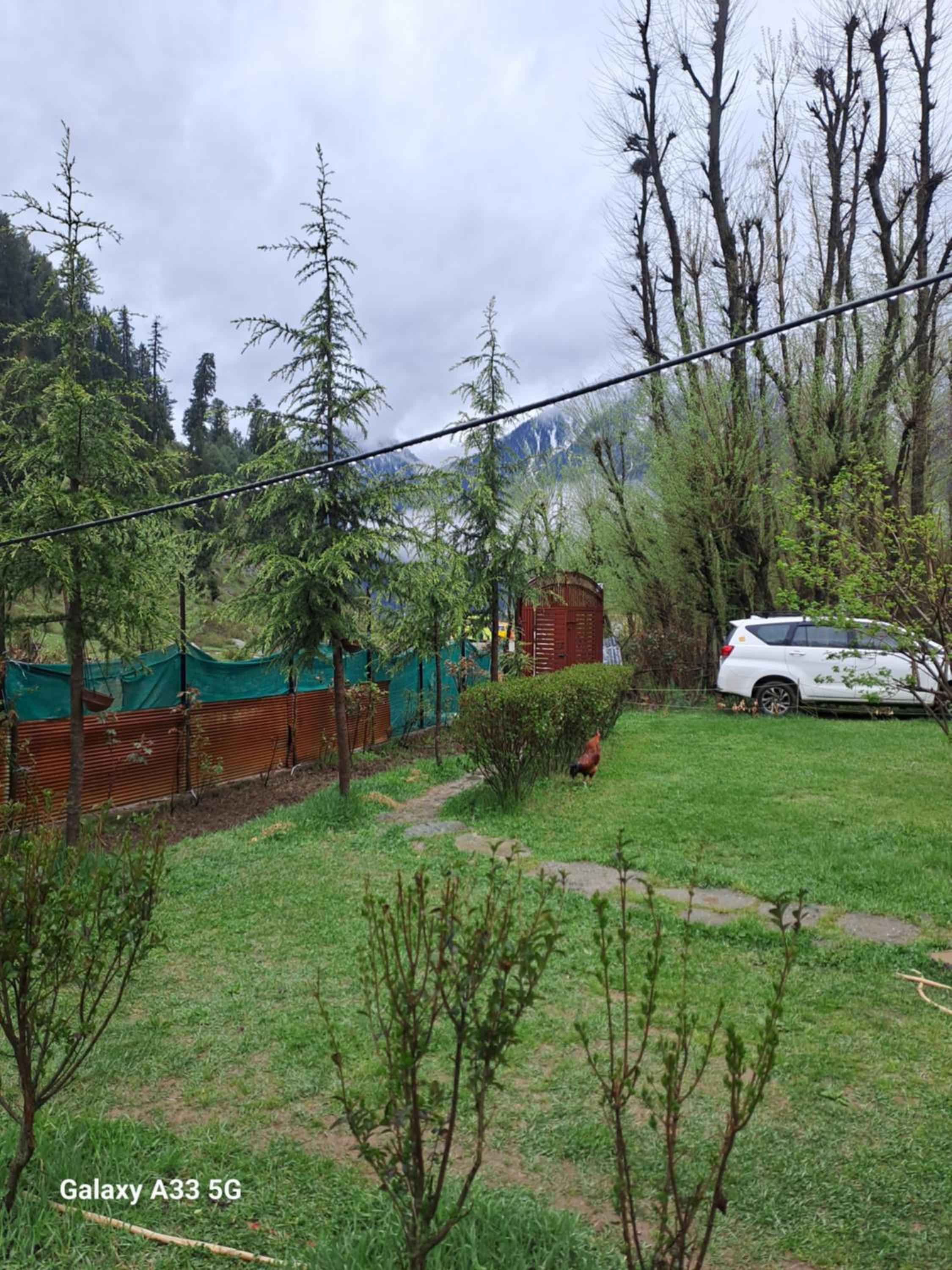 Photo 46