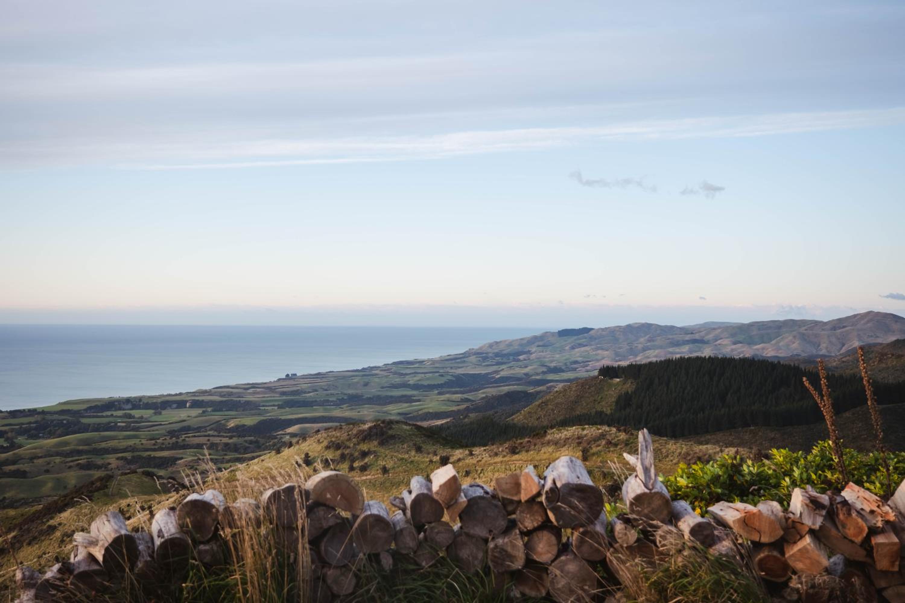Matai Peak Lodge view 4