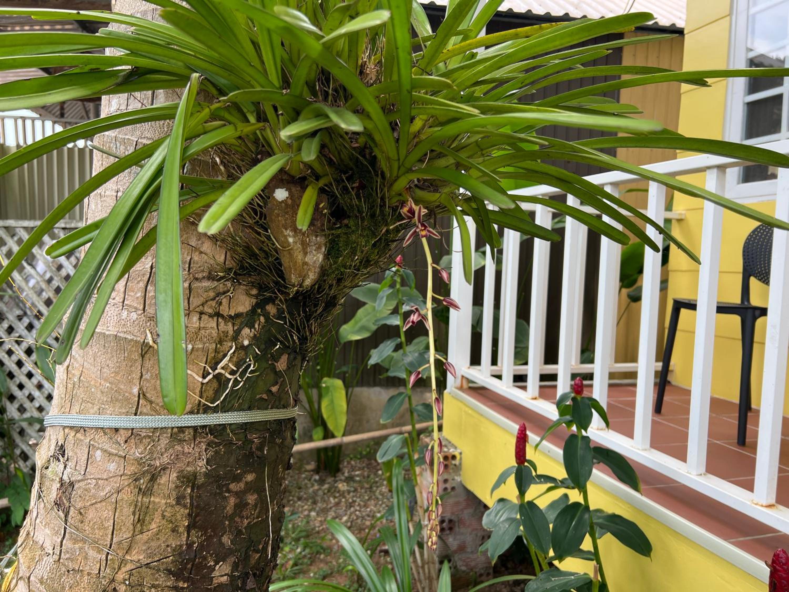 Tropical Garden Phu Quoc