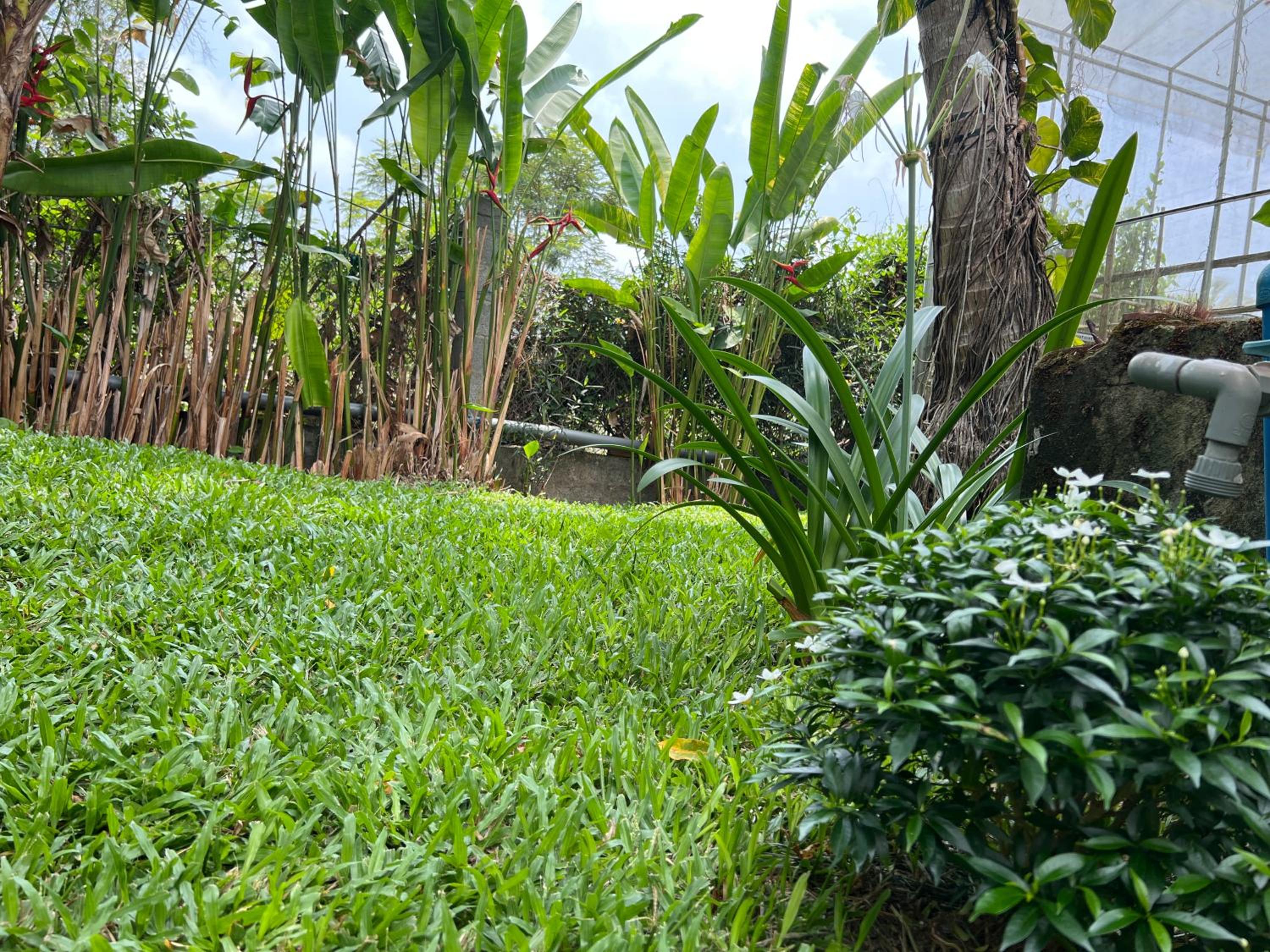 Tropical Garden Phu Quoc
