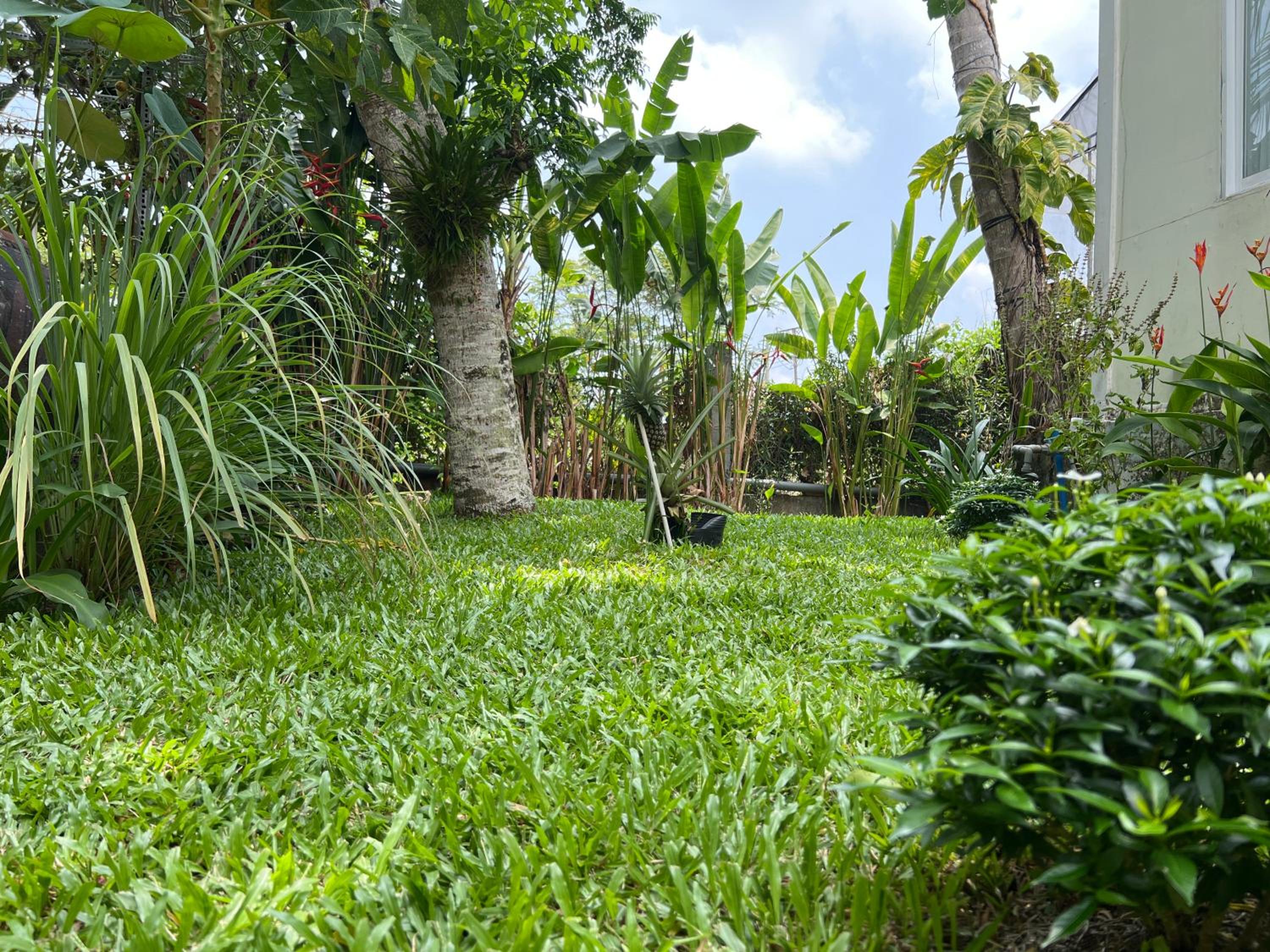 Tropical Garden Phu Quoc