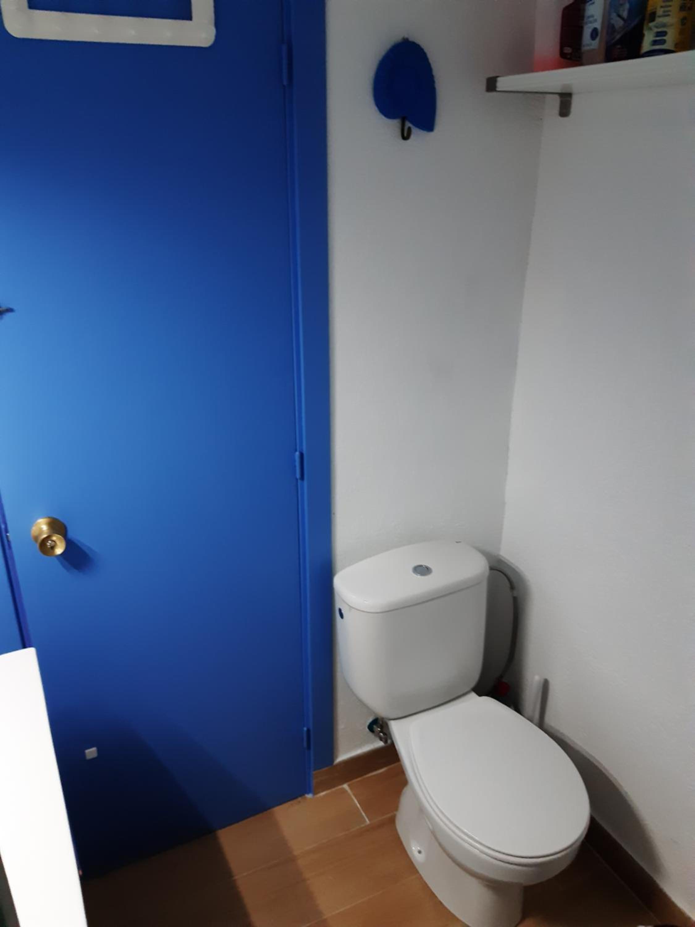 MIAMI BLAU
