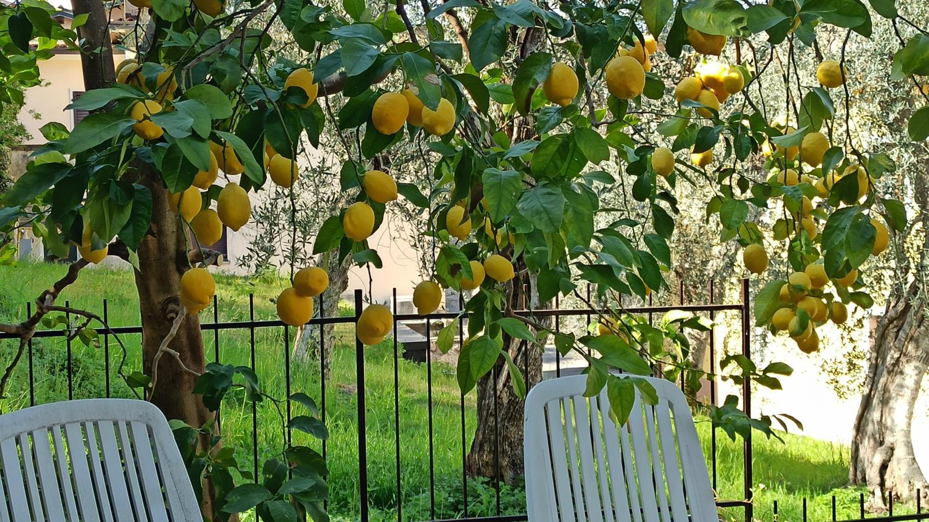 Piccolo Residence en Malcesine — other