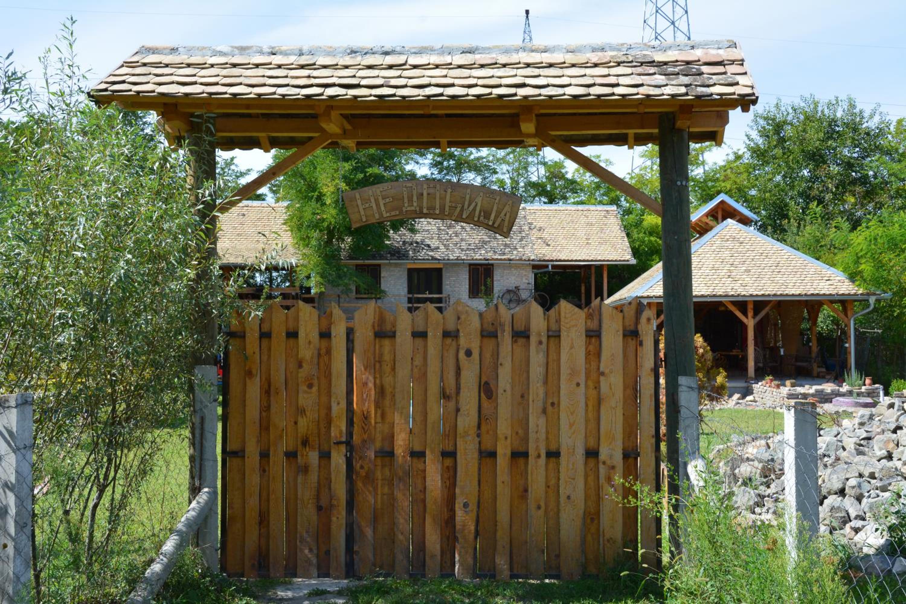 Photo 23