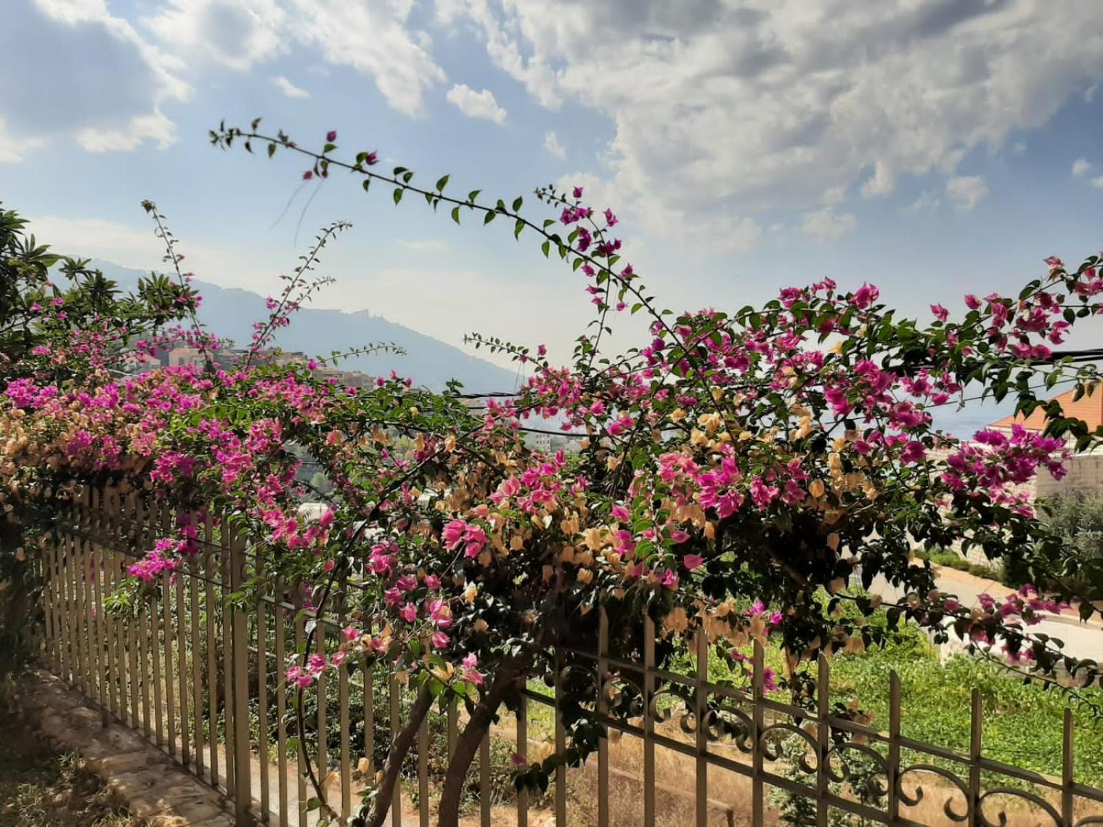 Beit Wadih